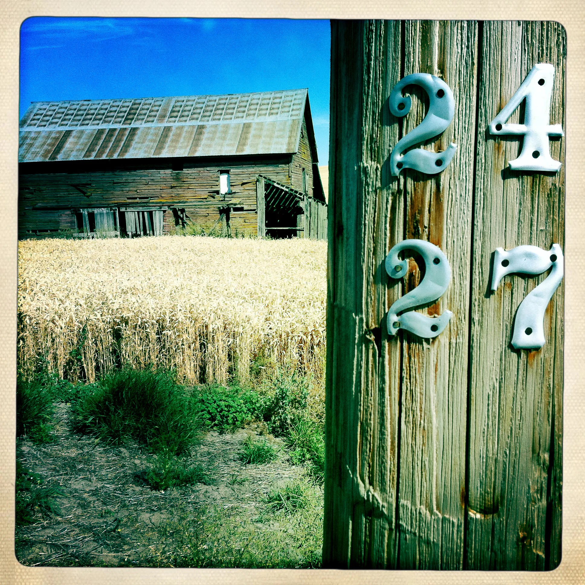 20110826_palouse_iphone_0133-21.jpg