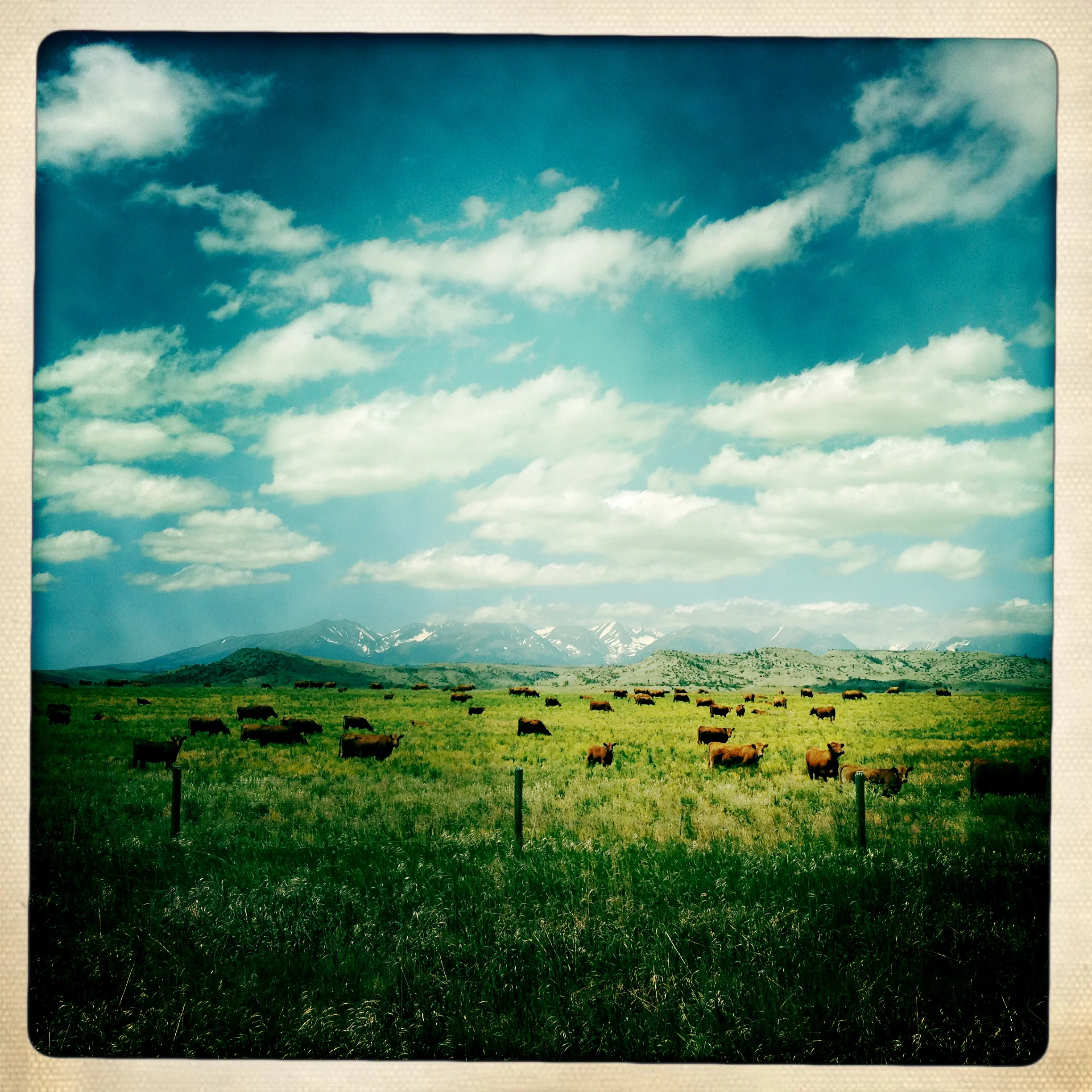 20120623_talltimbers_0003.jpg