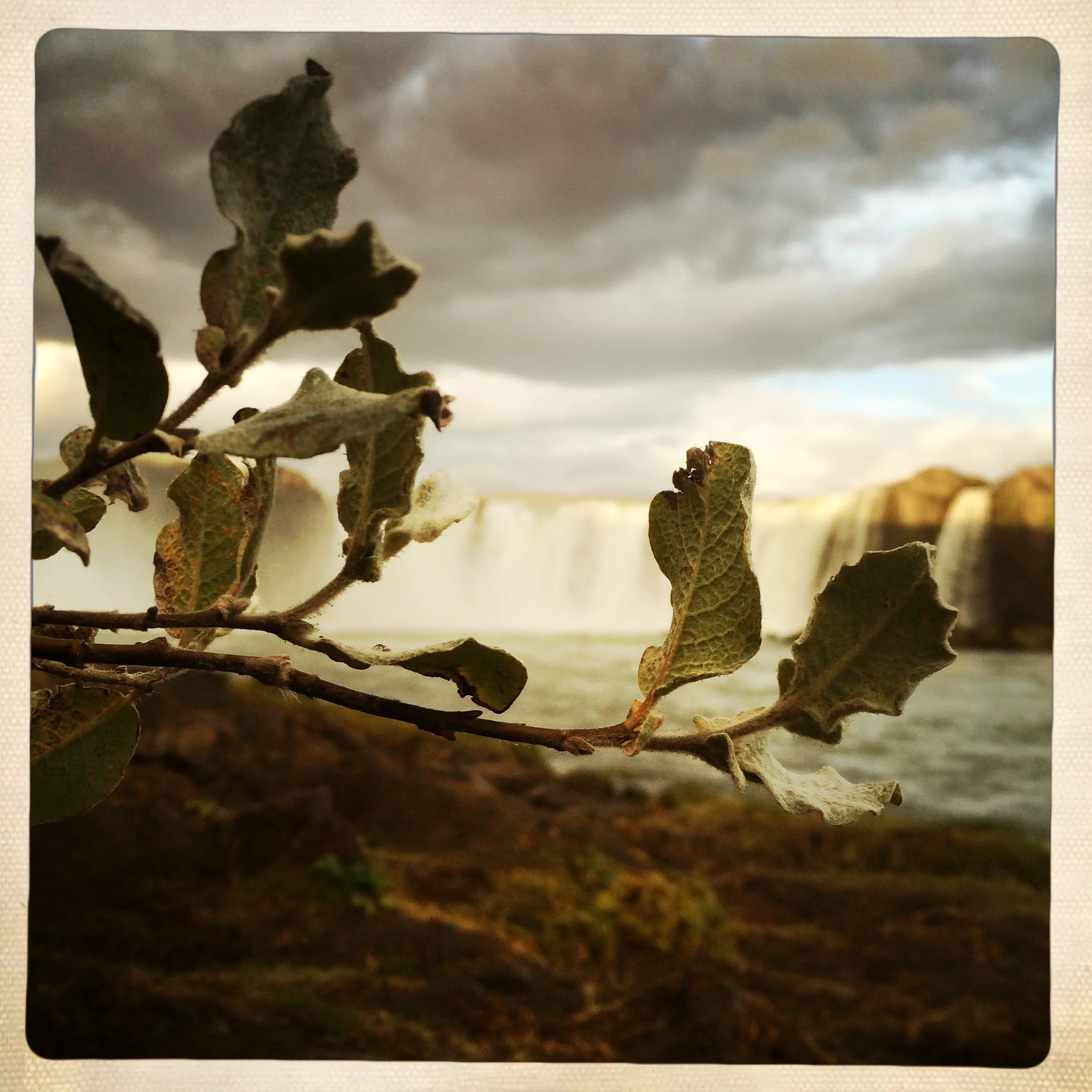 20140914_godafoss-110.jpg