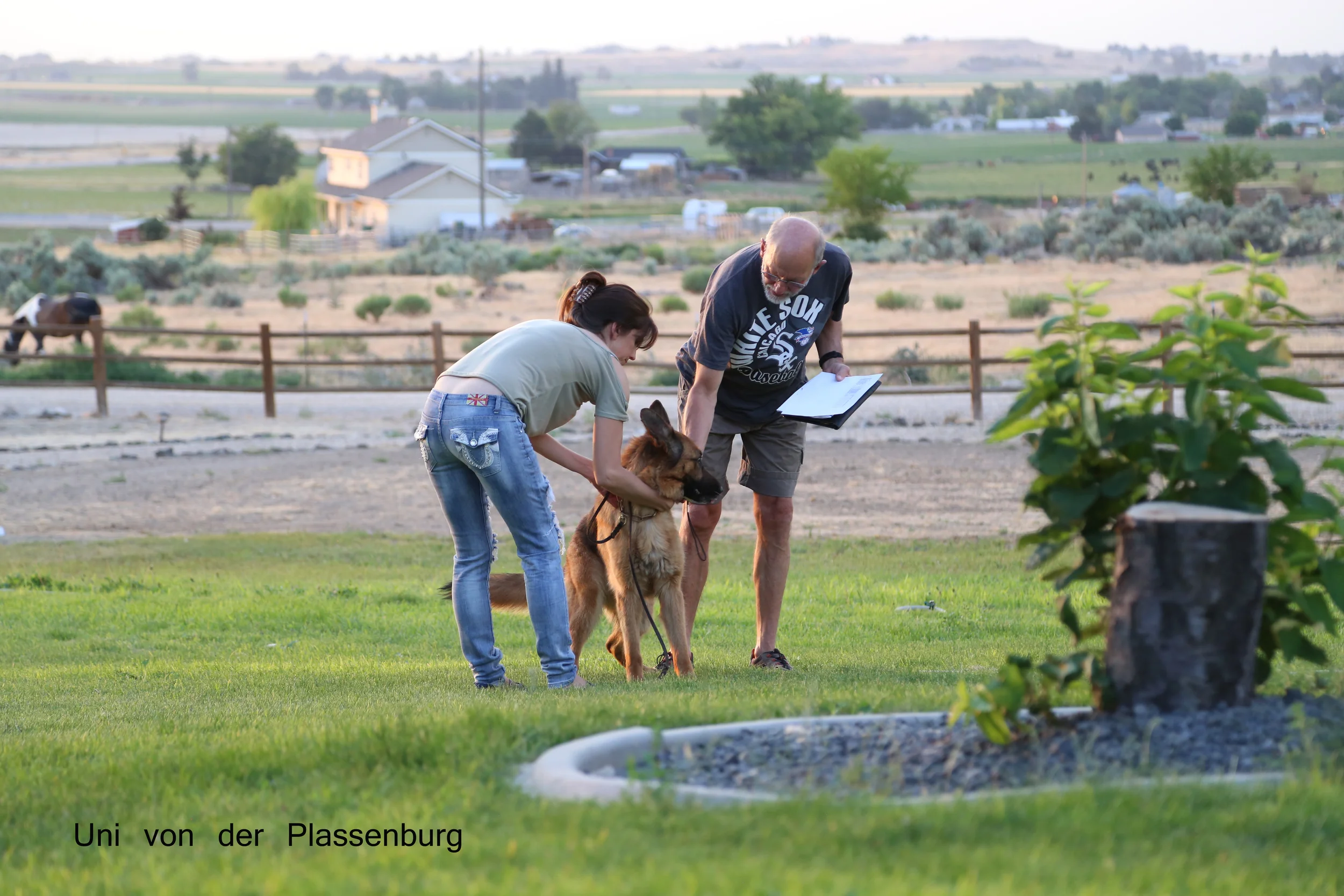 Checking the Microchip