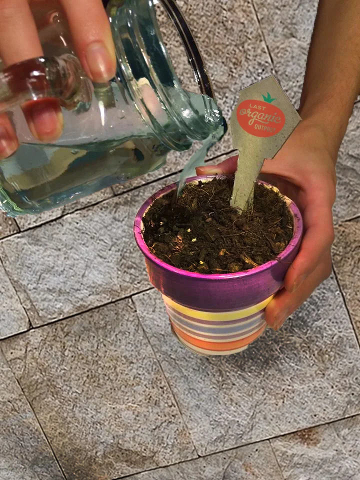 water.jpg