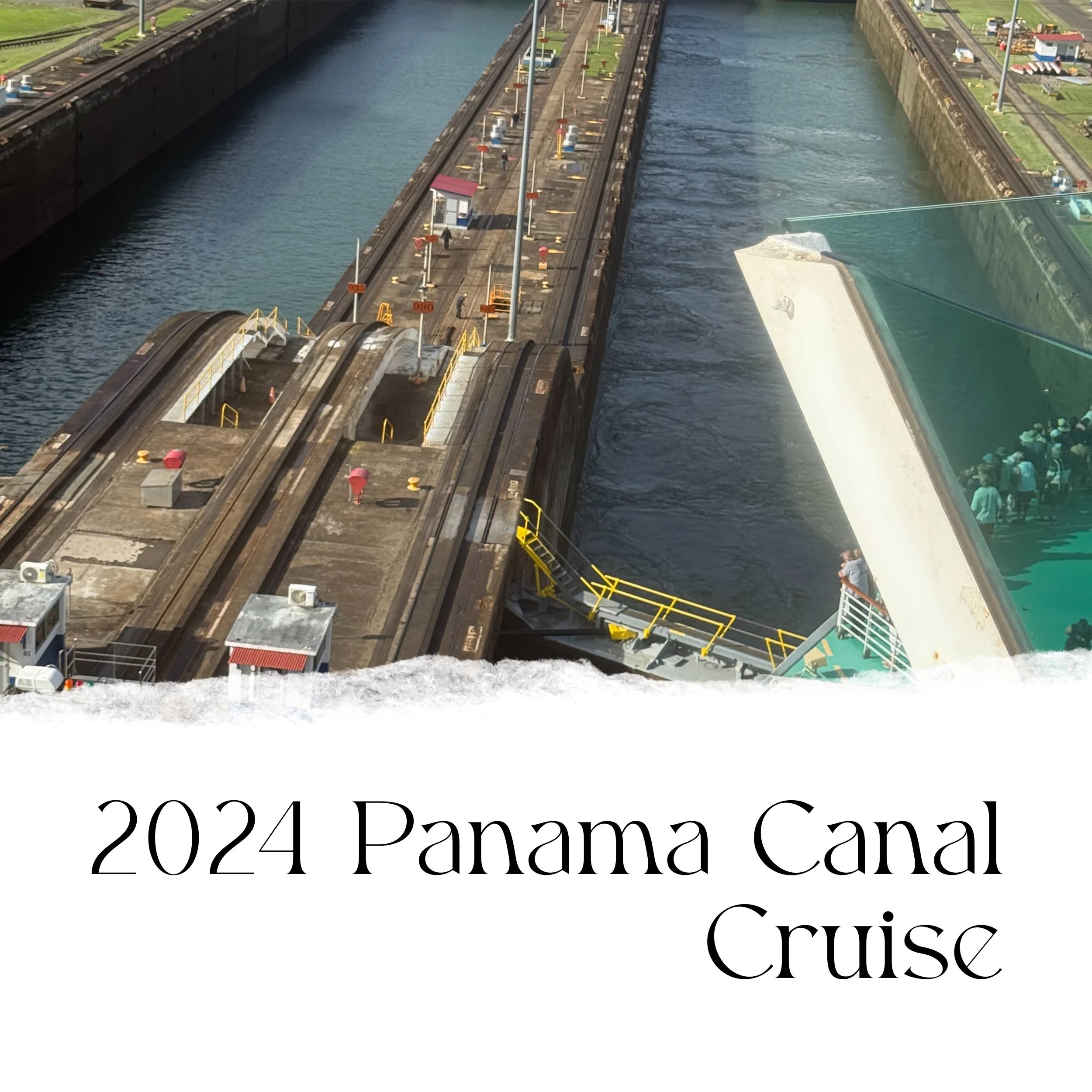 IMG_2195.JPG