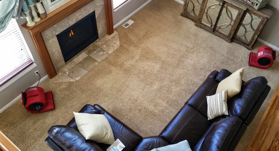 carpet cleaning
