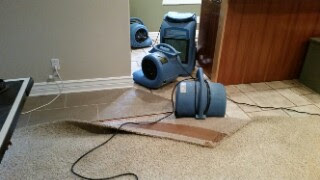 This was a small WATER LOSS in Alpine, Ut that we took care of. We dried the CUPBOARDS, walls, carpets and pad