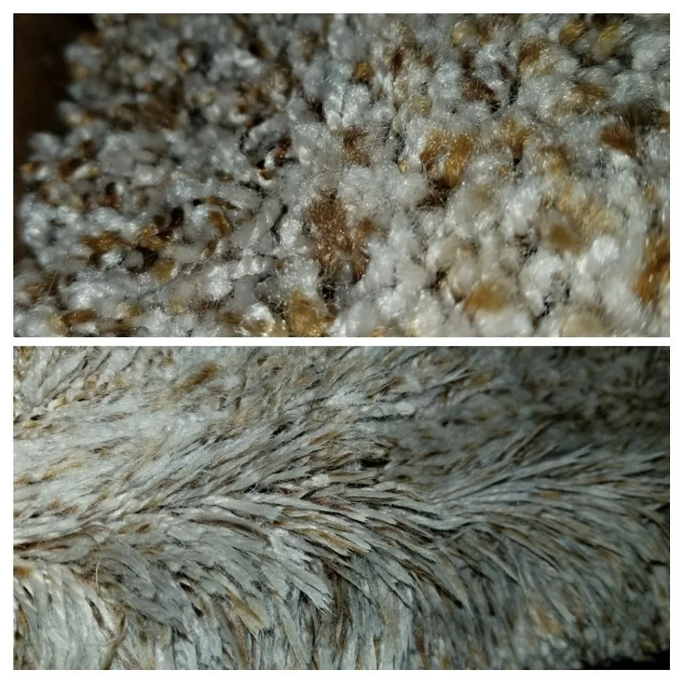 worn carpet fiber.jpg