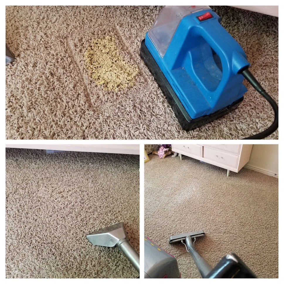 How to get slime out of the carpet.jpg