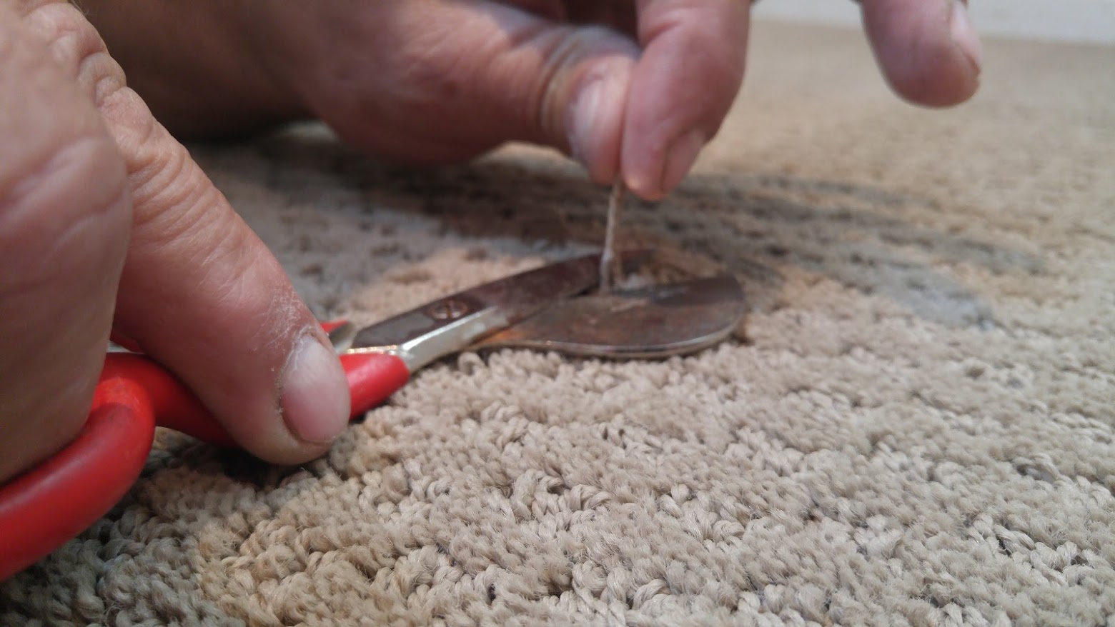 carpet scissors.jpg