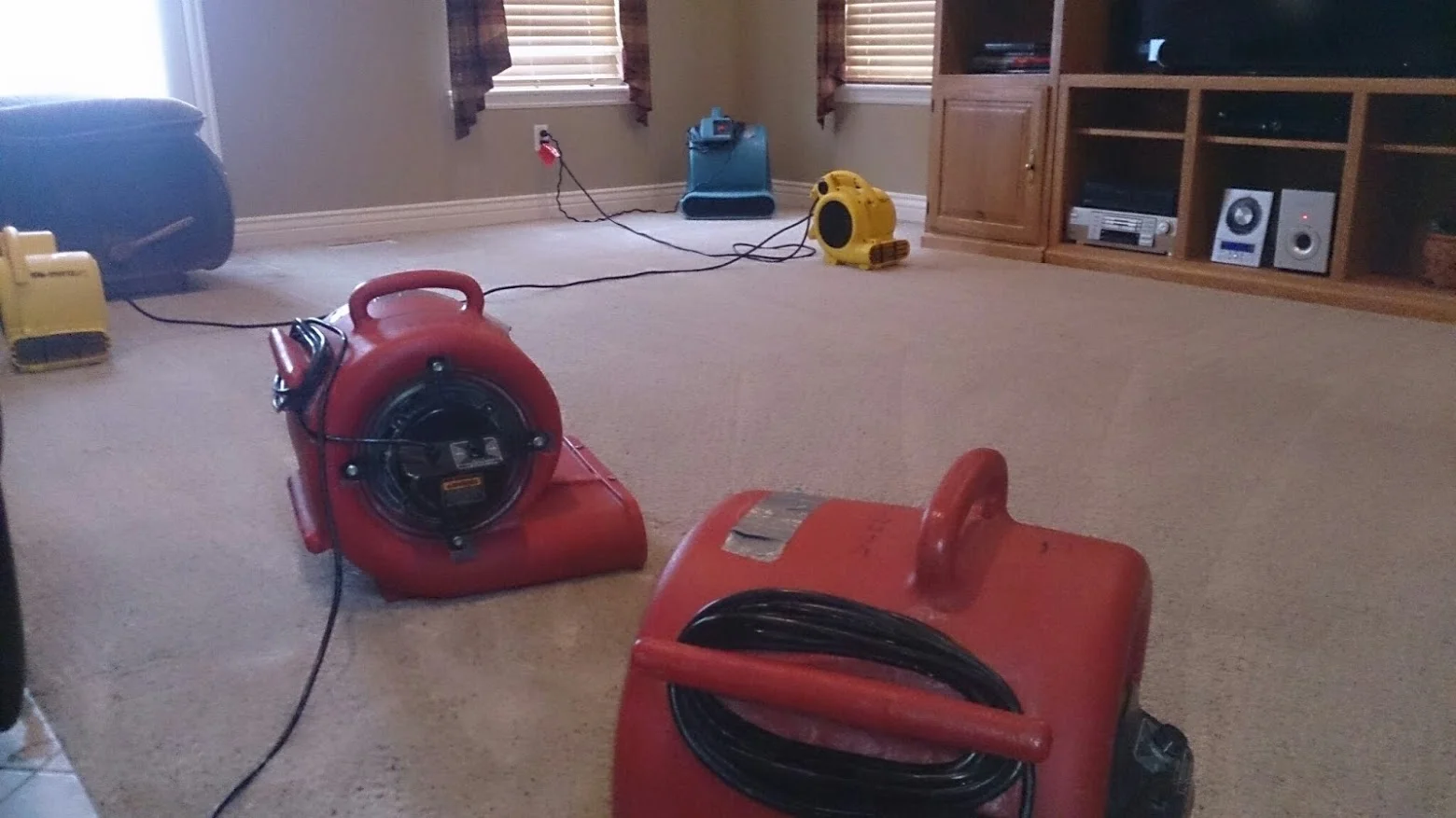carpet cleaning airnovers.jpg