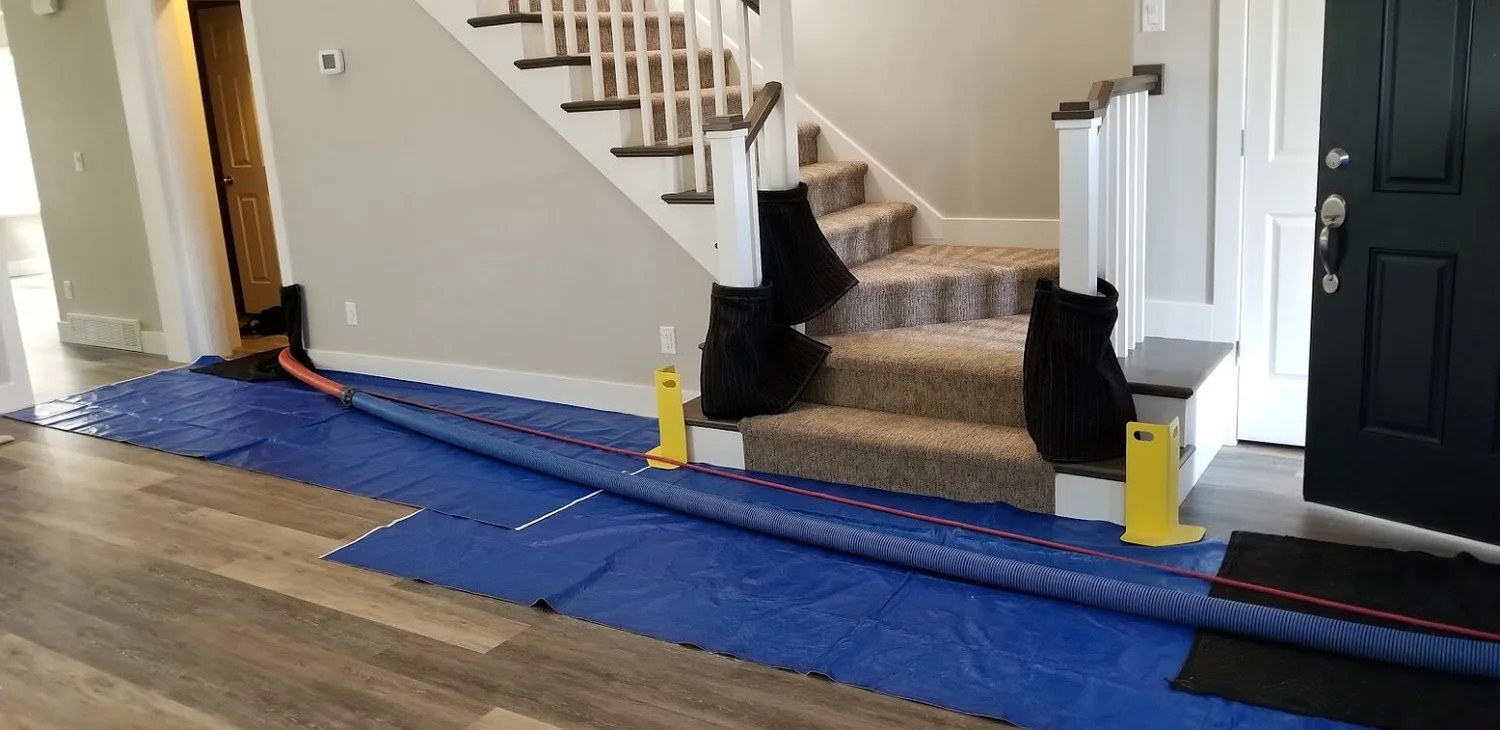 Alpine Professional Carpet Care