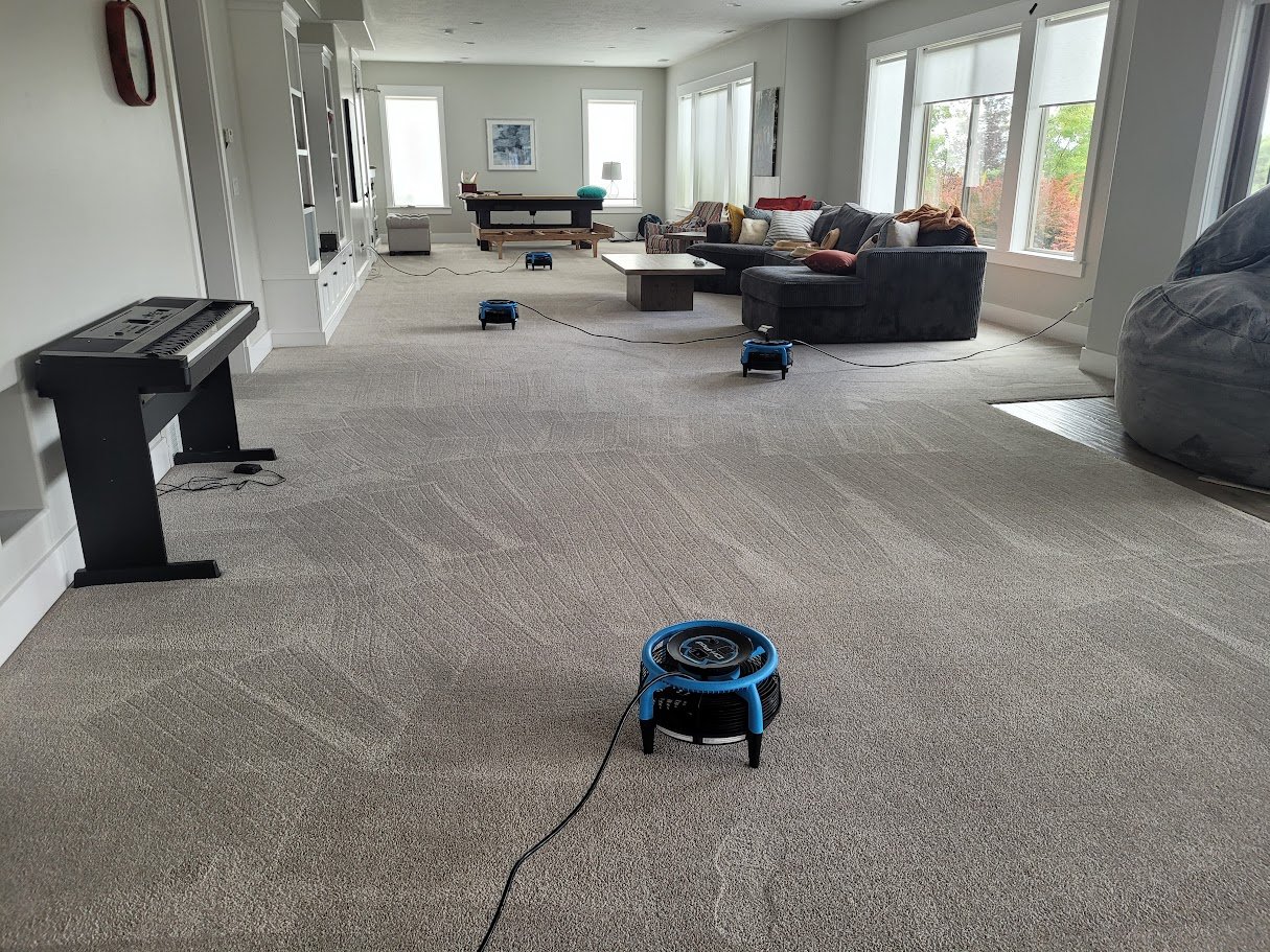 carpet cleaning, Highland.jpg