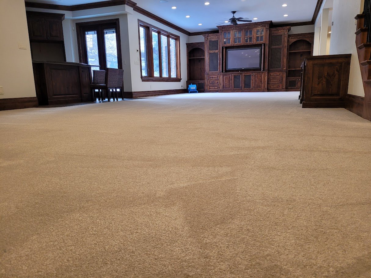 Utah county, carpet cleaner.jpg