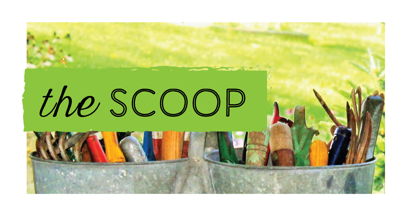 GJJ The Scoop.png