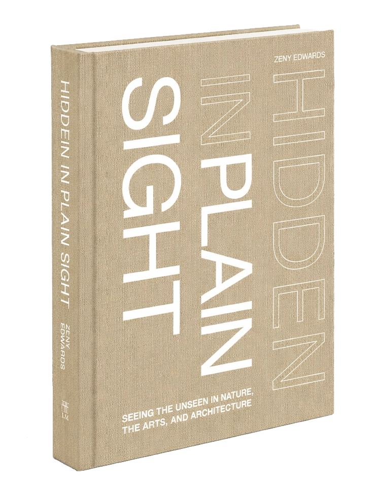 Buy Hidden in Plain Sight\