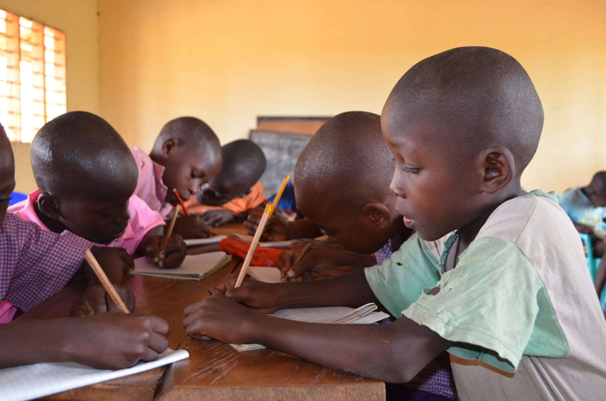  "Nachhaltigkeit ist unser Schritt zur Selbstständigkeit."   Alan Rukundo, 1. Vorstand   Erfahren Sie mehr  