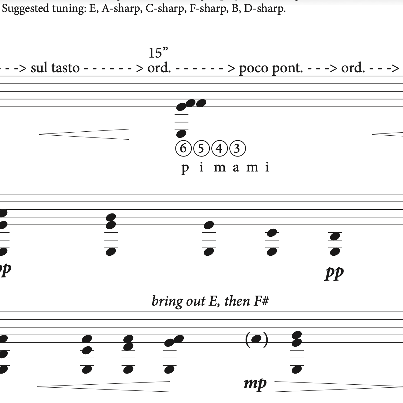 koʻu inoa guitar image.png