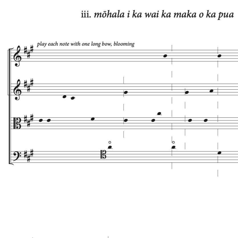 ahupua%CA%BBa+digital-image.png