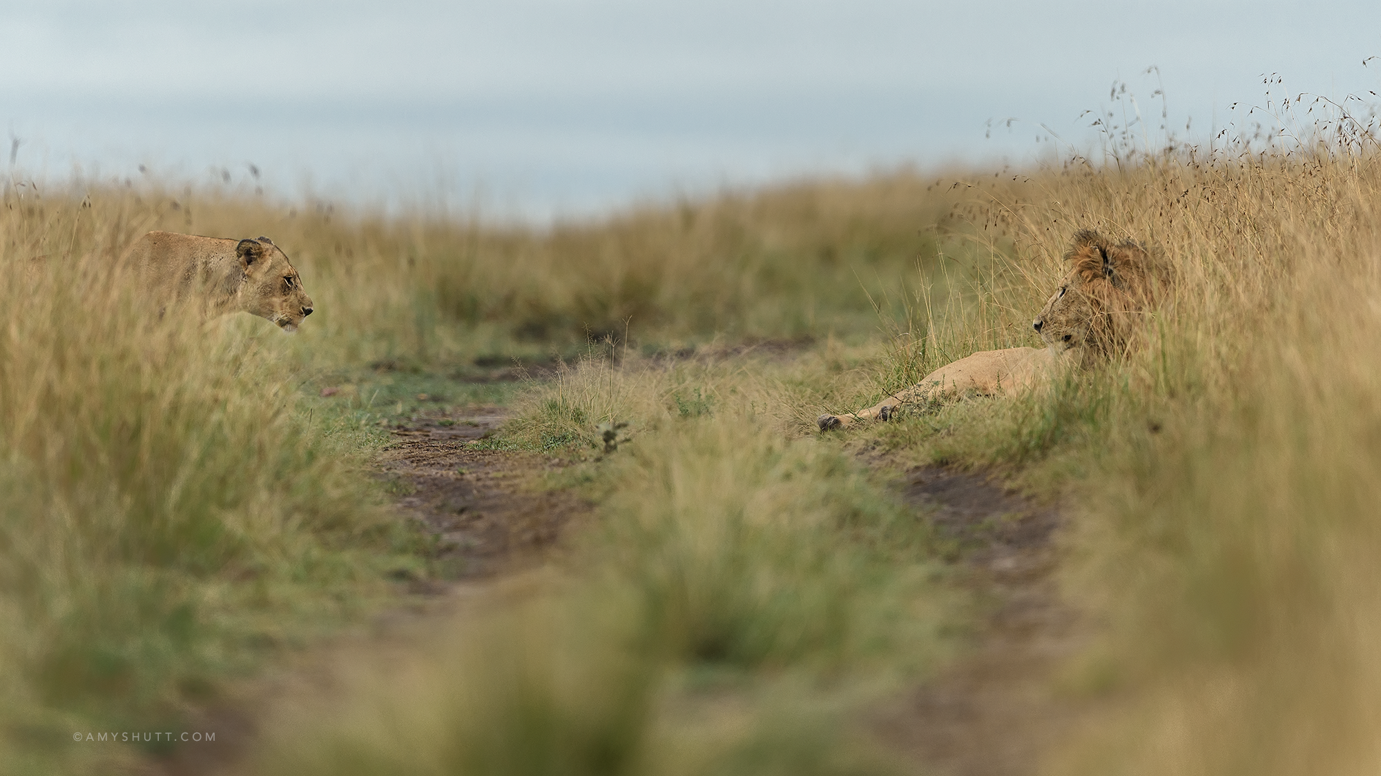 20160309-AMY_5491-2-Edit-Edit.png