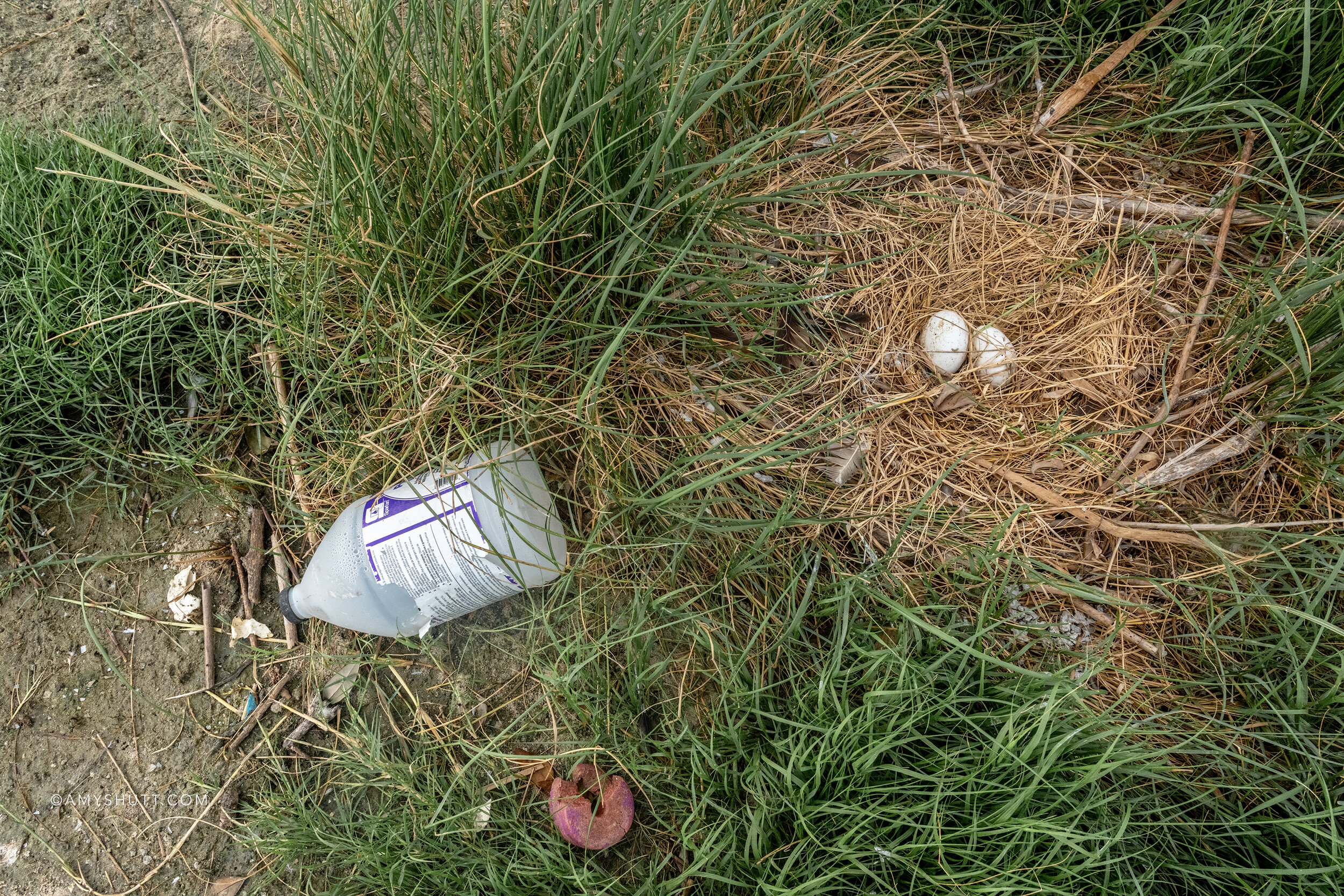 Human created trash and debris washes up on the shores of all the islands, a constant reminder of the effects of our actions.
