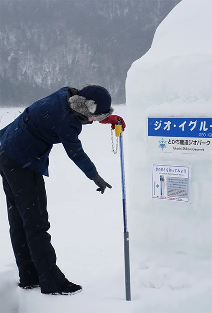 I am measuring the ice level. 52 cm (20.5").