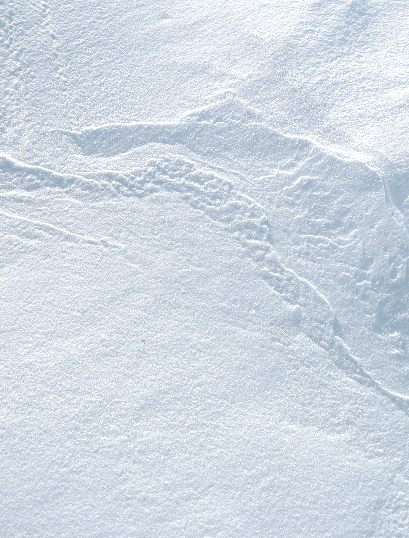 snow_textures_1s.jpg