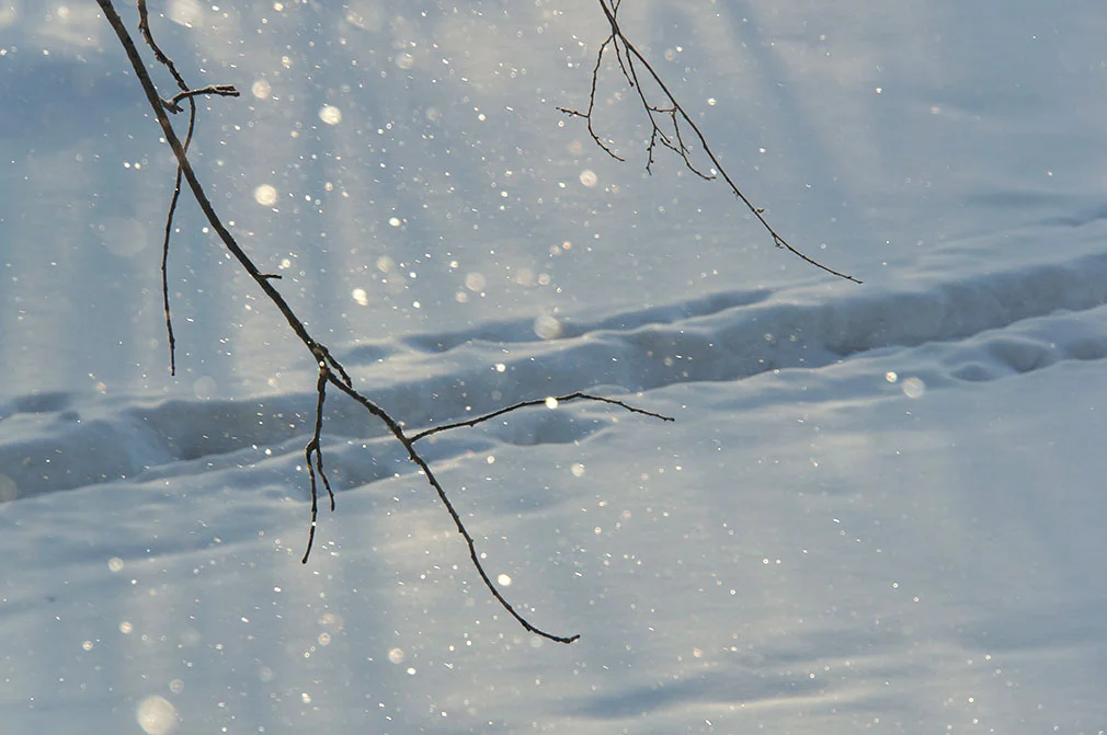 Diamond dust image is taken in Novosibirsk, Siberia, Russia
