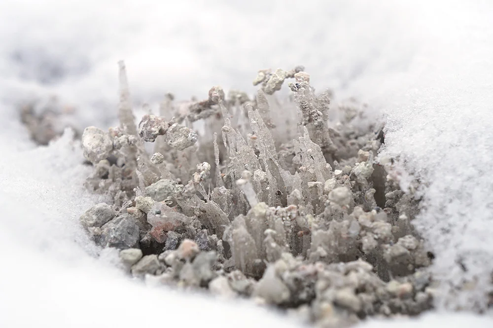 needle_ice.jpg