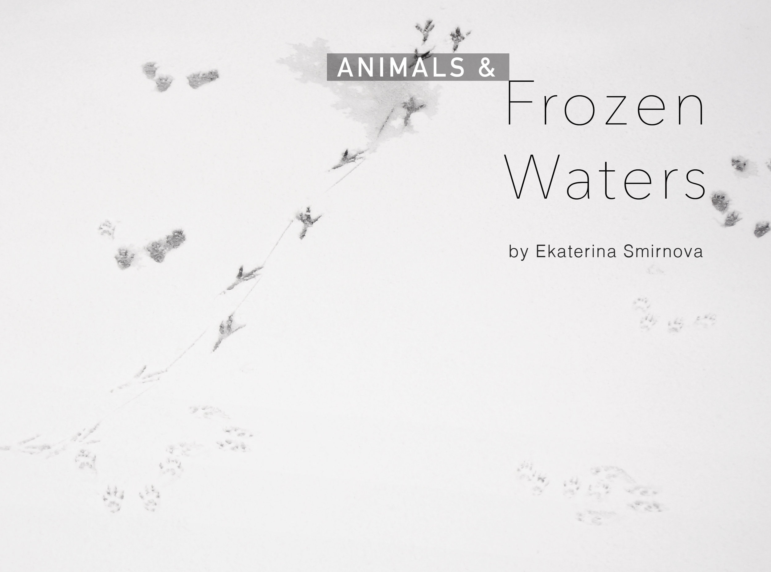 Animals and Frozen Water. 70 pages. Order HERE