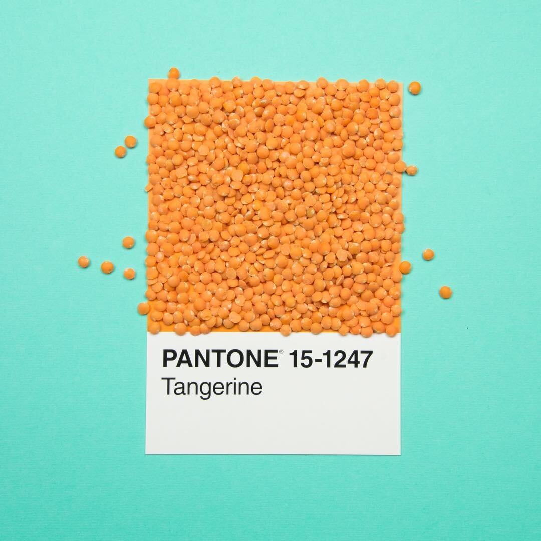 10+ points if you can guess what it is!!! *Hint* it&rsquo;s not a tangerine 😜