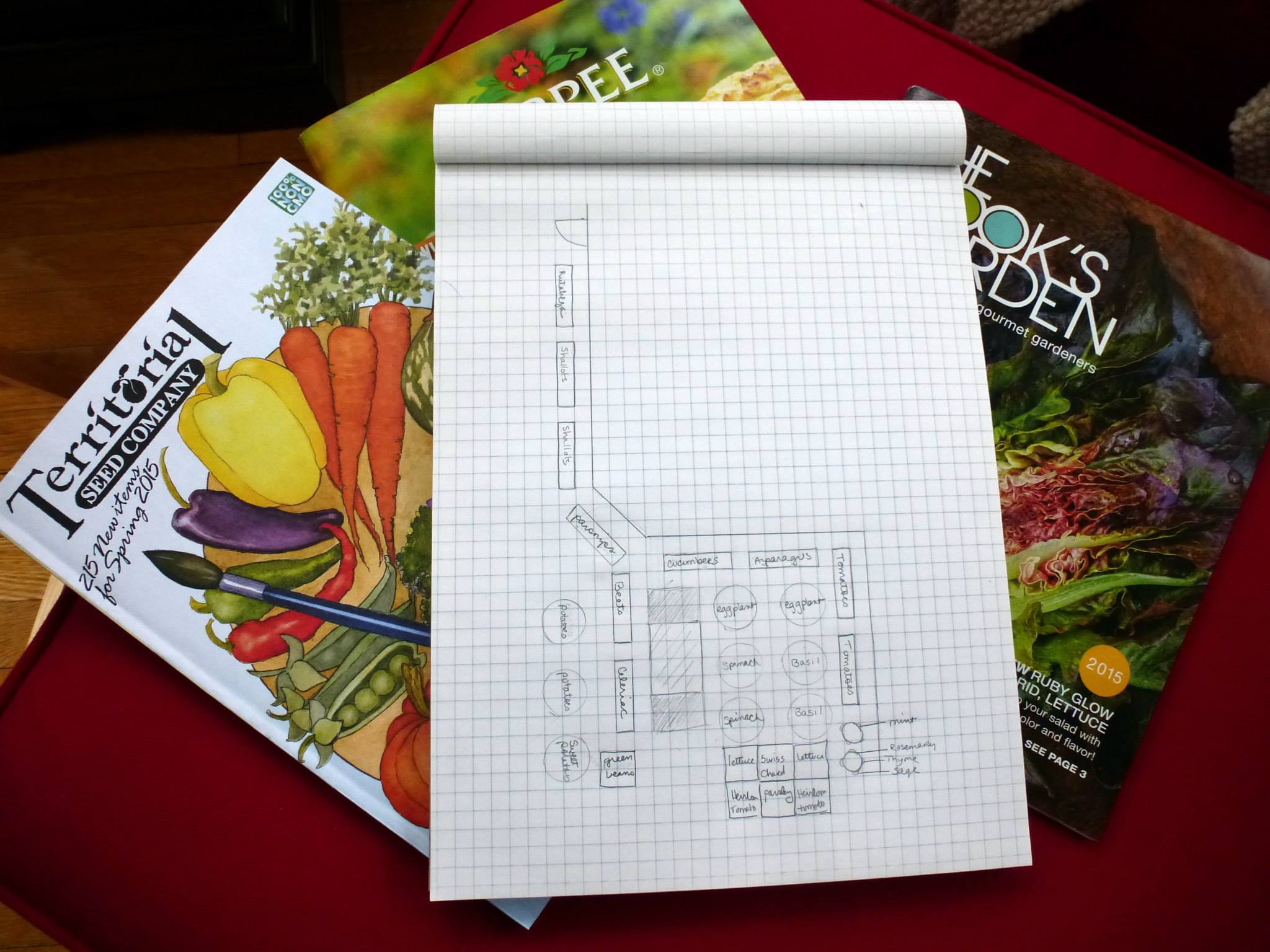 Get started planning in winter. This was my January plan...which of course, changed by the time I planted, but it was a great way to start.