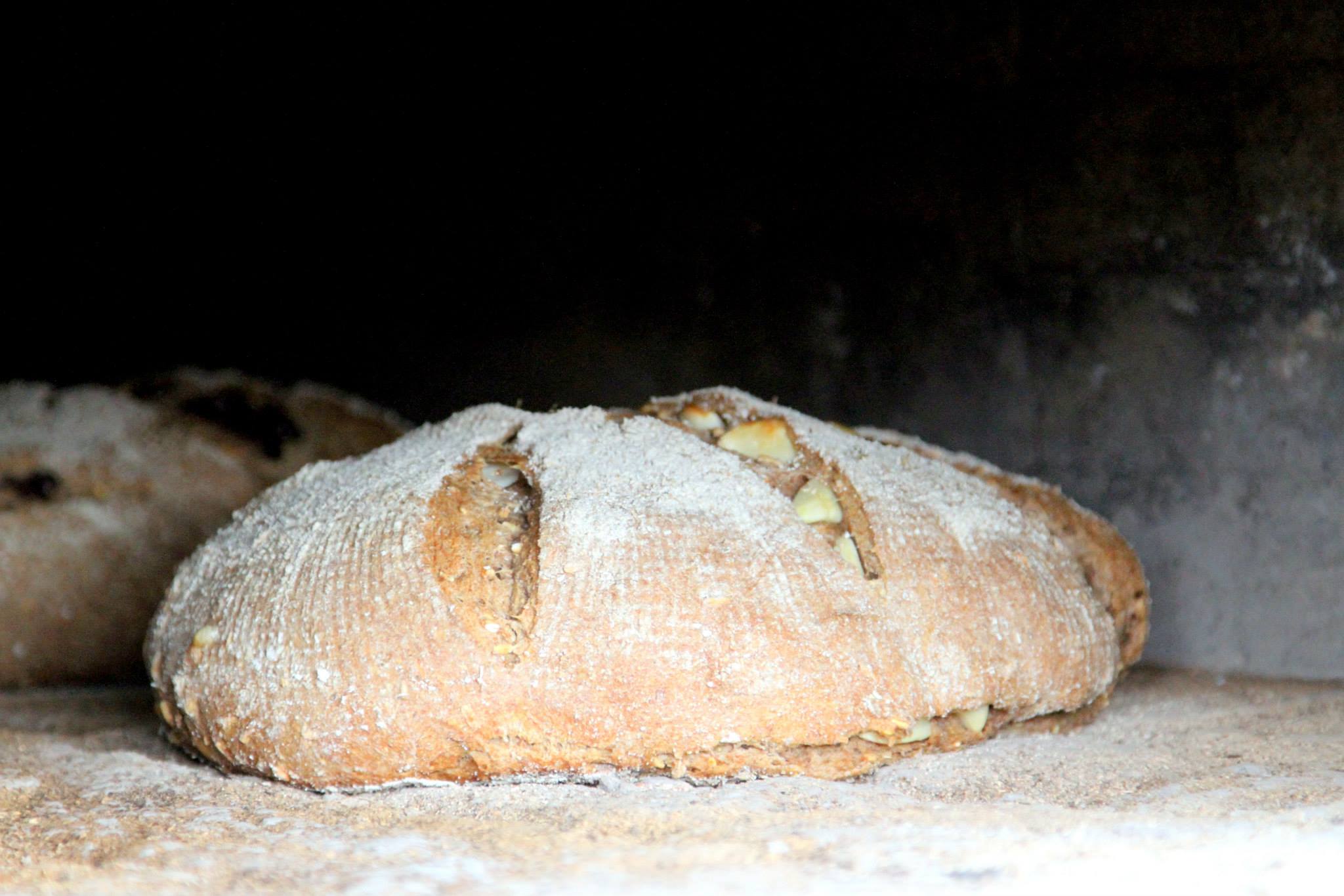 Bread as it was baking in the wood-fired oven.