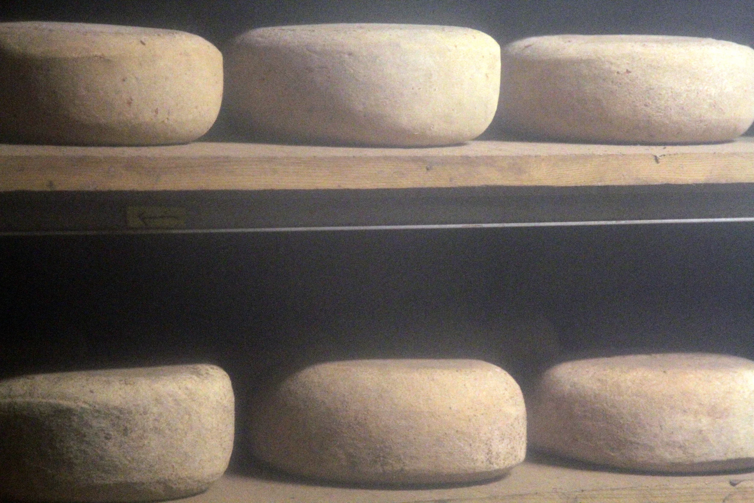Cheese aging in Valley Shepherd's cheese cave. Take the tour and you'll see this too!