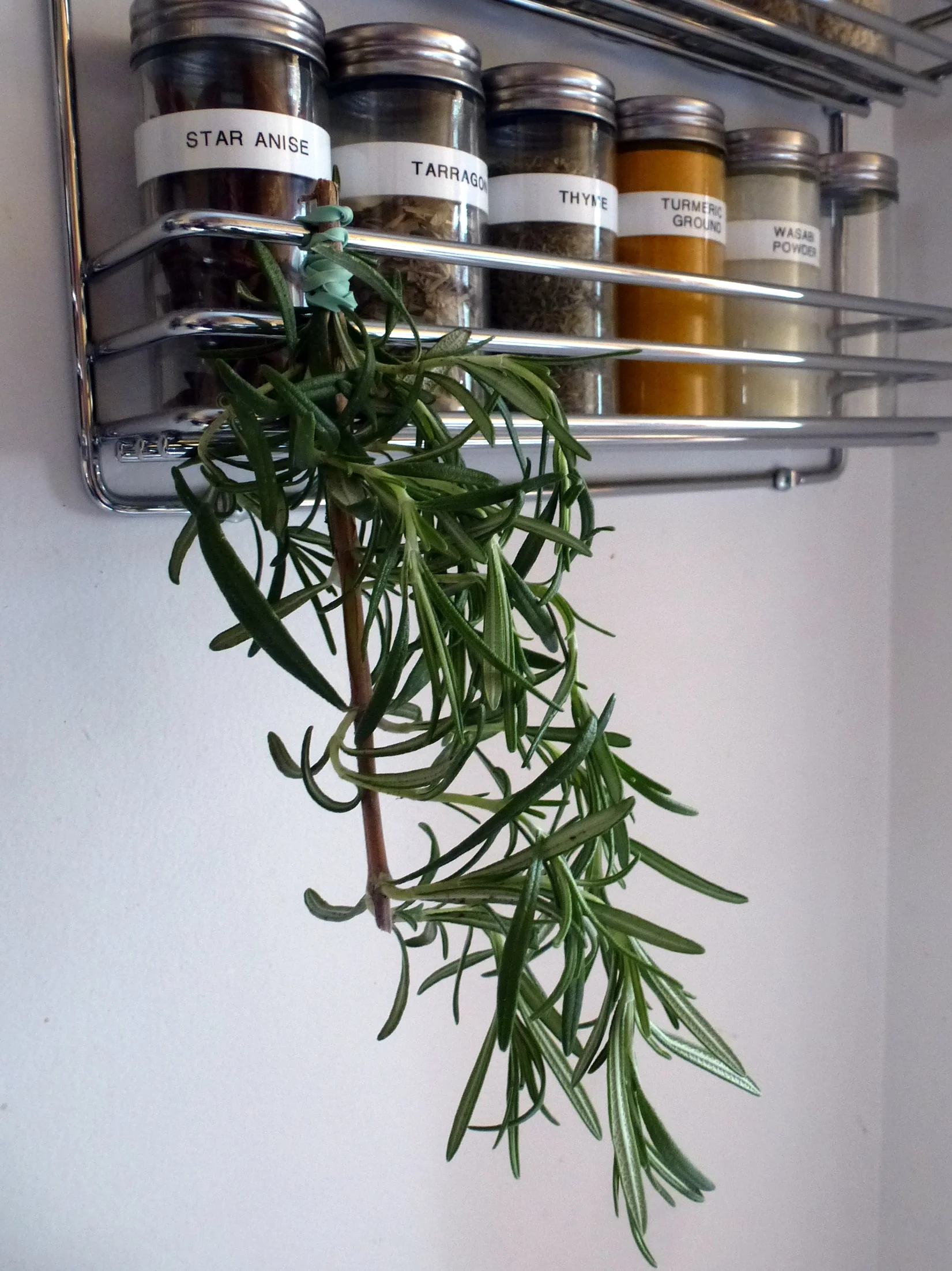 Drying garden rosemary