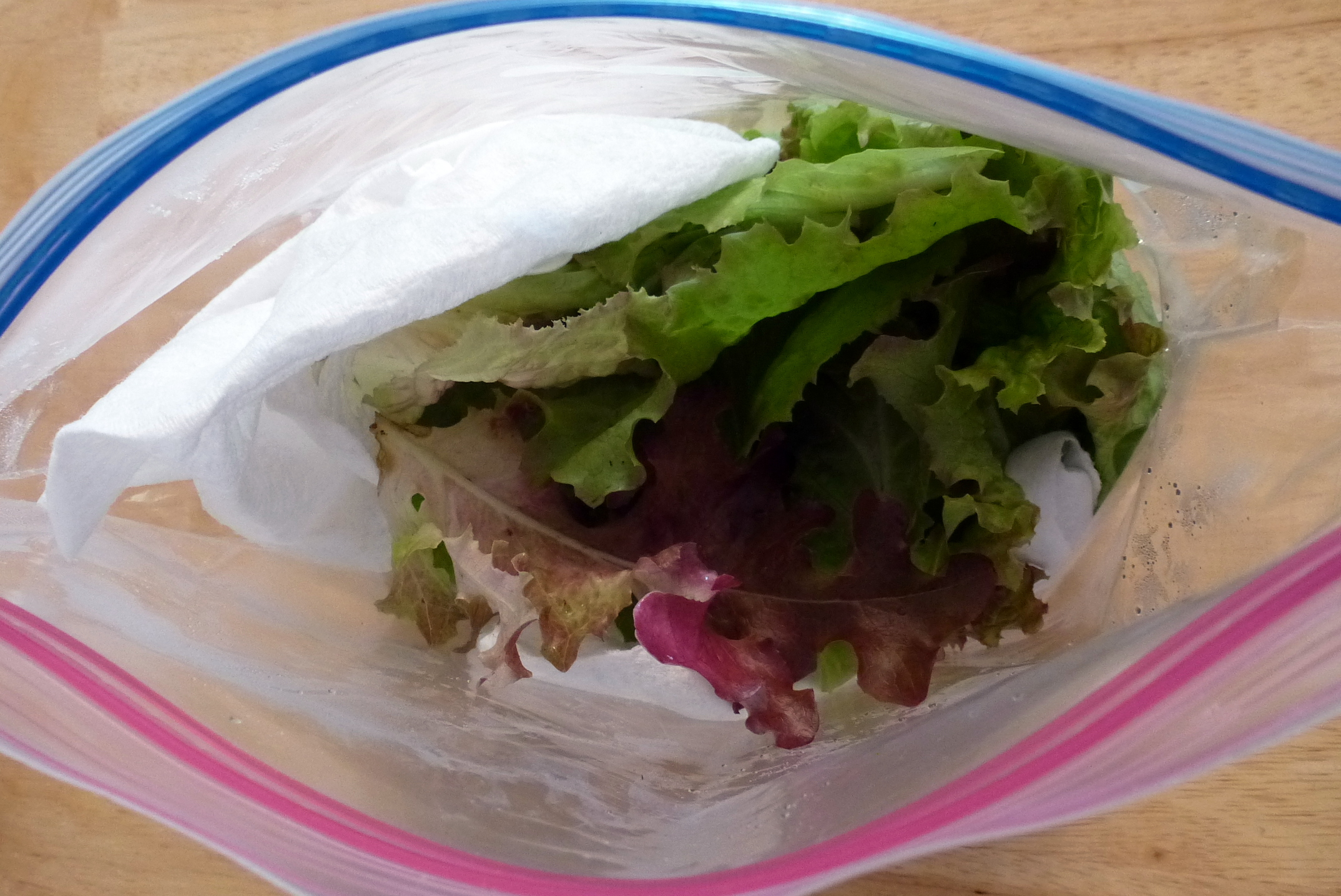 How To Grow Salad In Plastic Bags