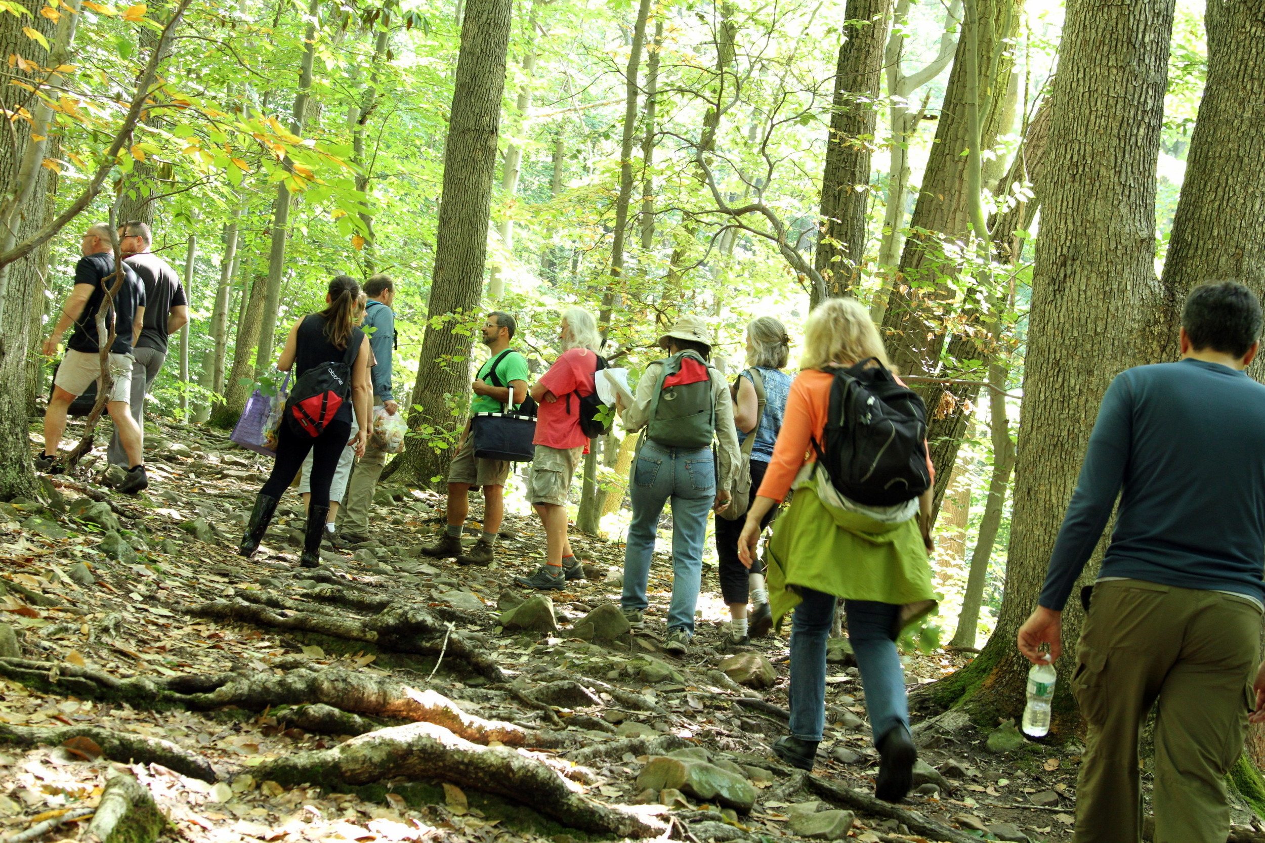 Our group of foraging hikers