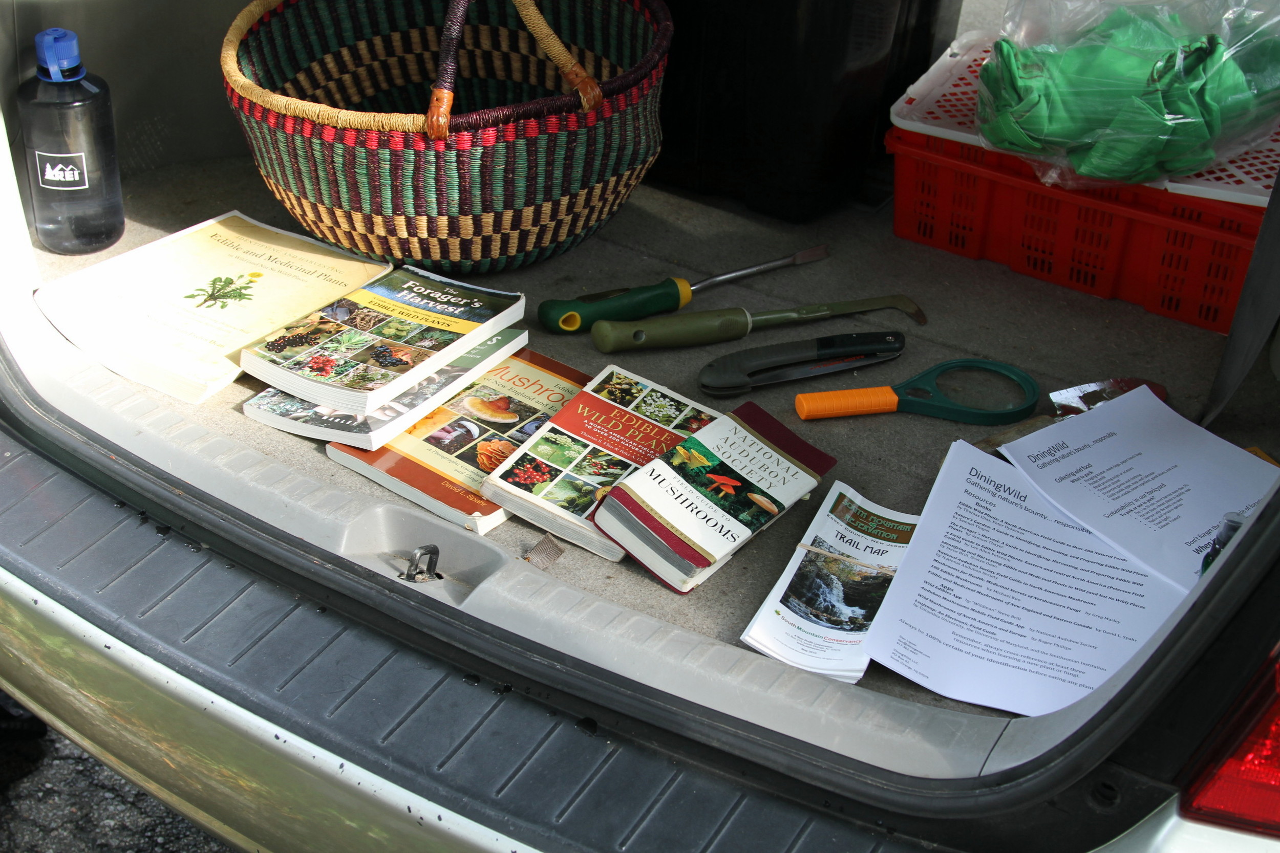 Dan comes well prepared. The National Audubon Society book seemed quite useful.