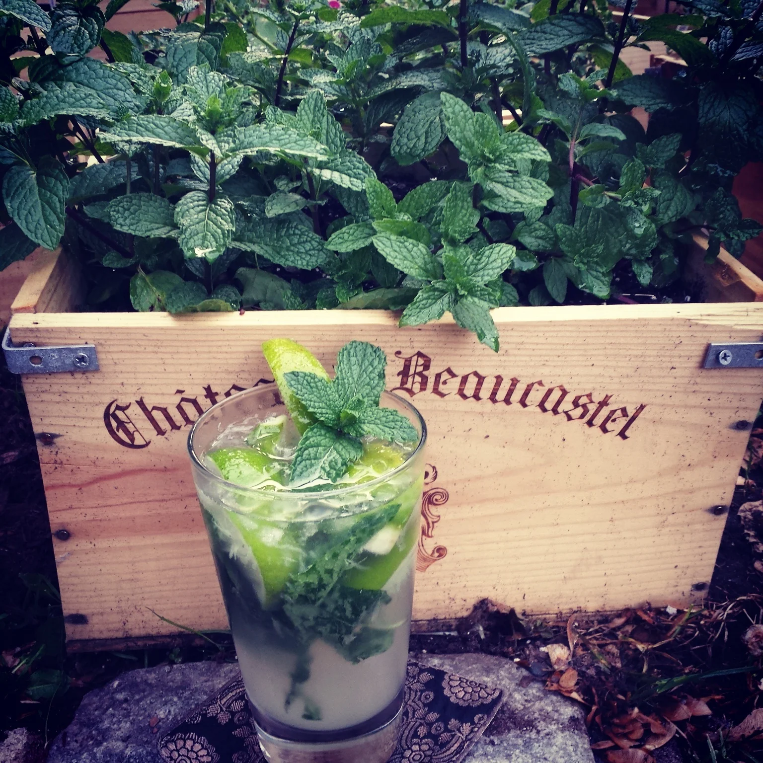 Why else would you grow mint?