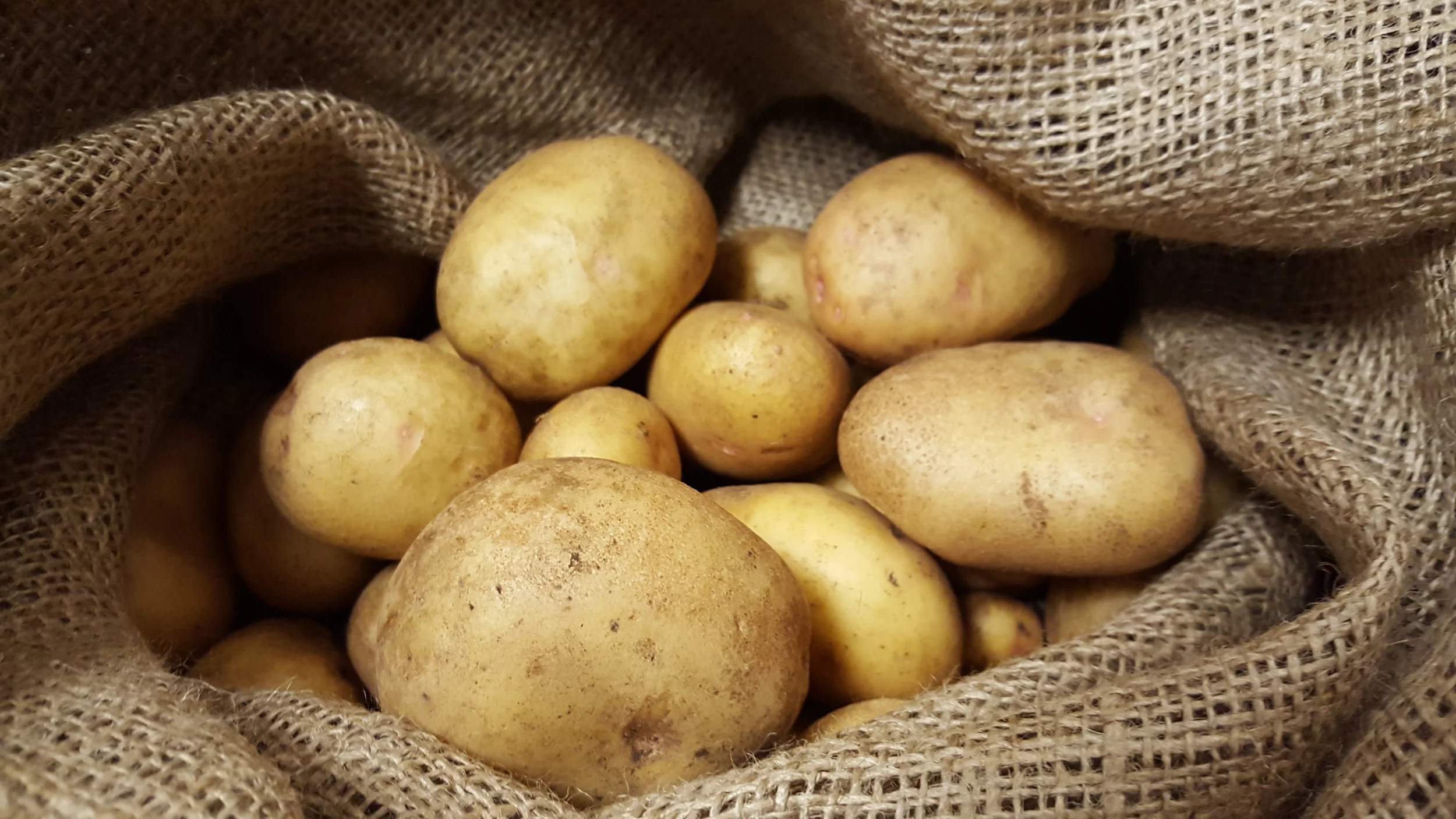 How to Store Potatoes