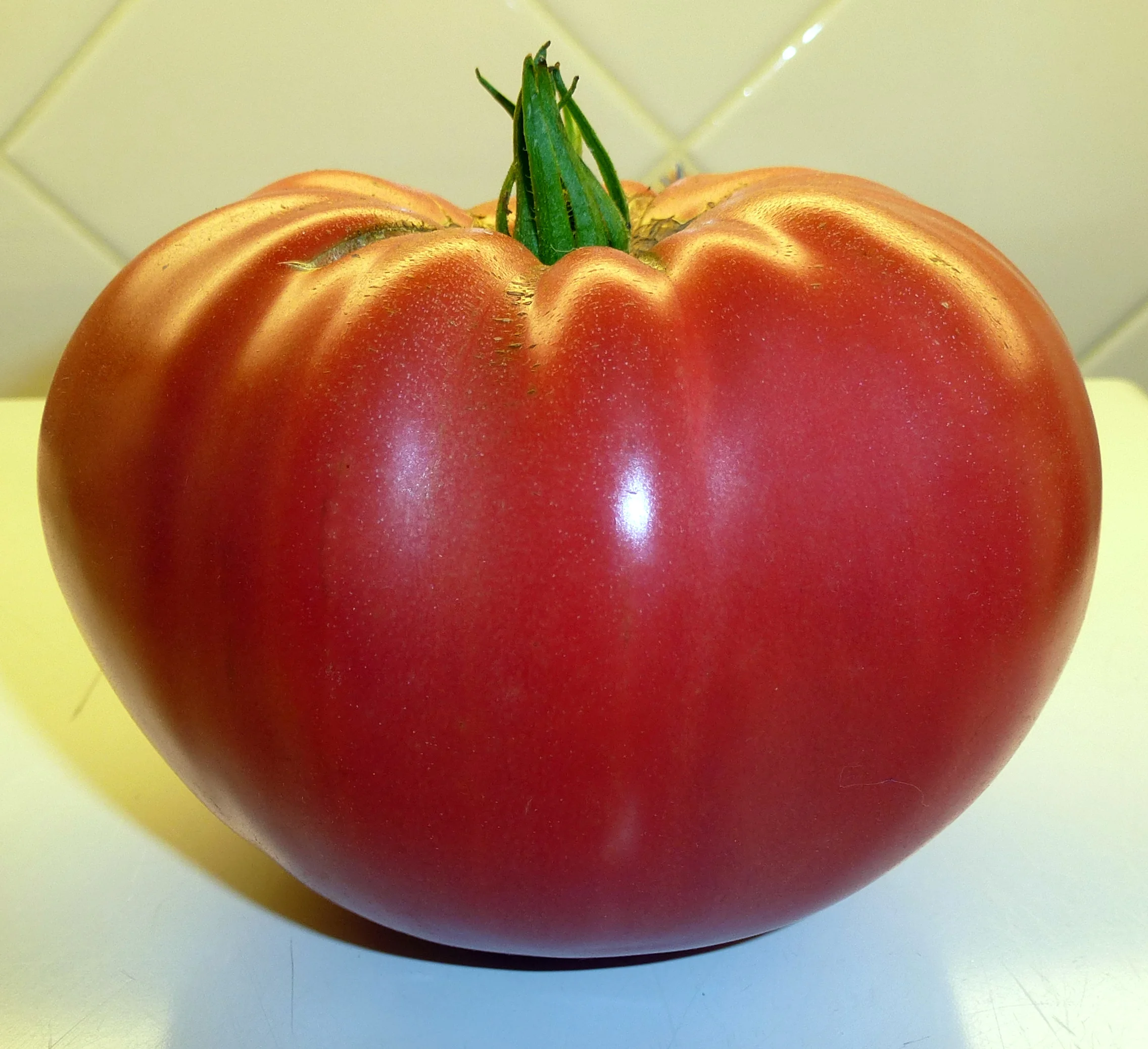 Ripening Tomatoes Indoors