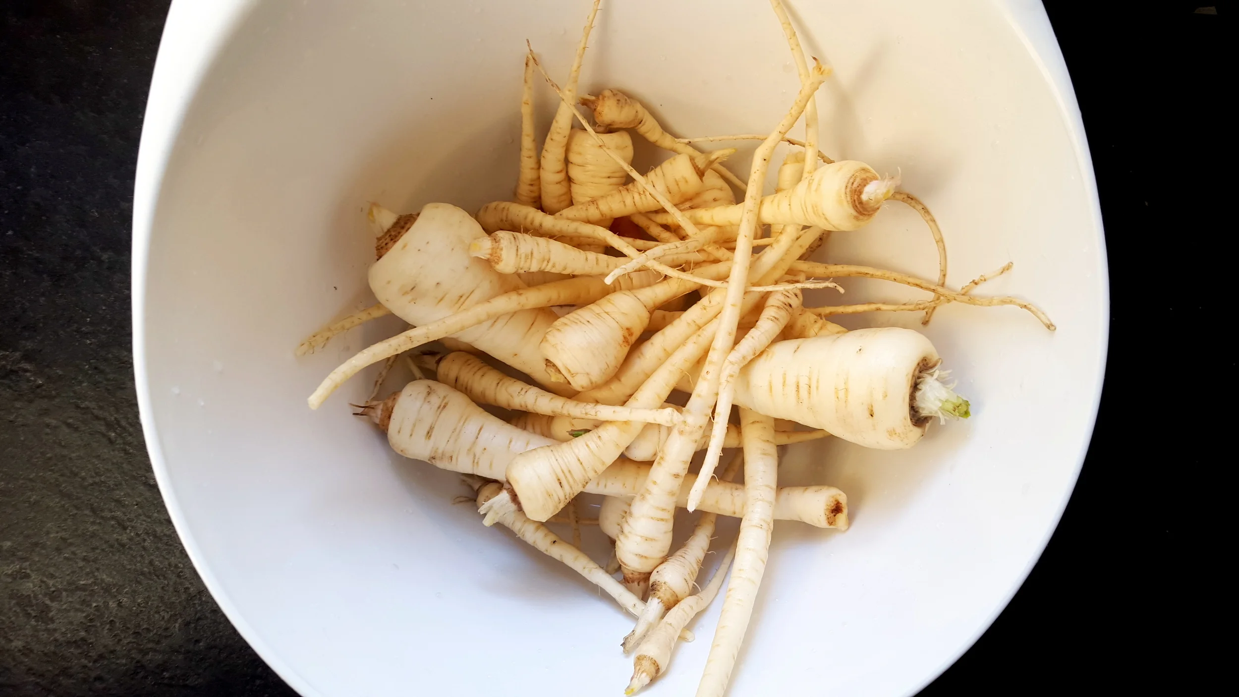How to Grow Parsnips