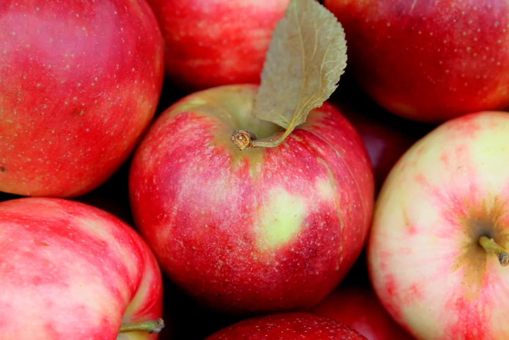 Apple Pie with "Foolproof" Pie Dough
