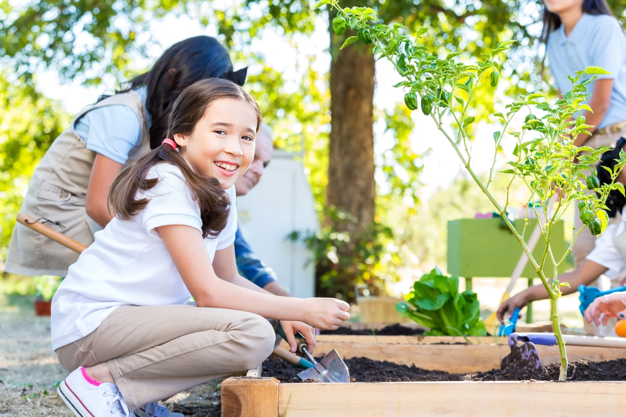 Starting a School Garden