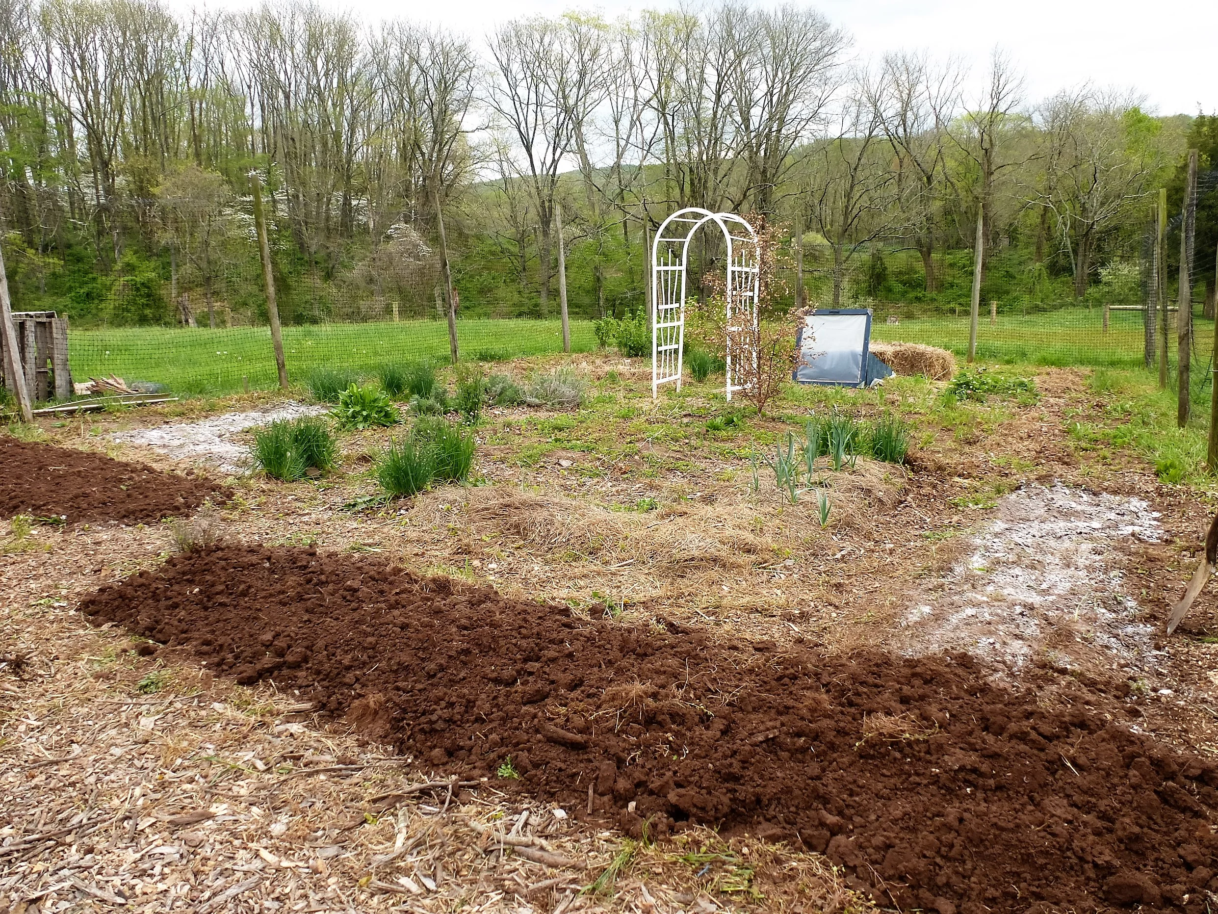 Digging in the Dirt at The Farm Cooking School