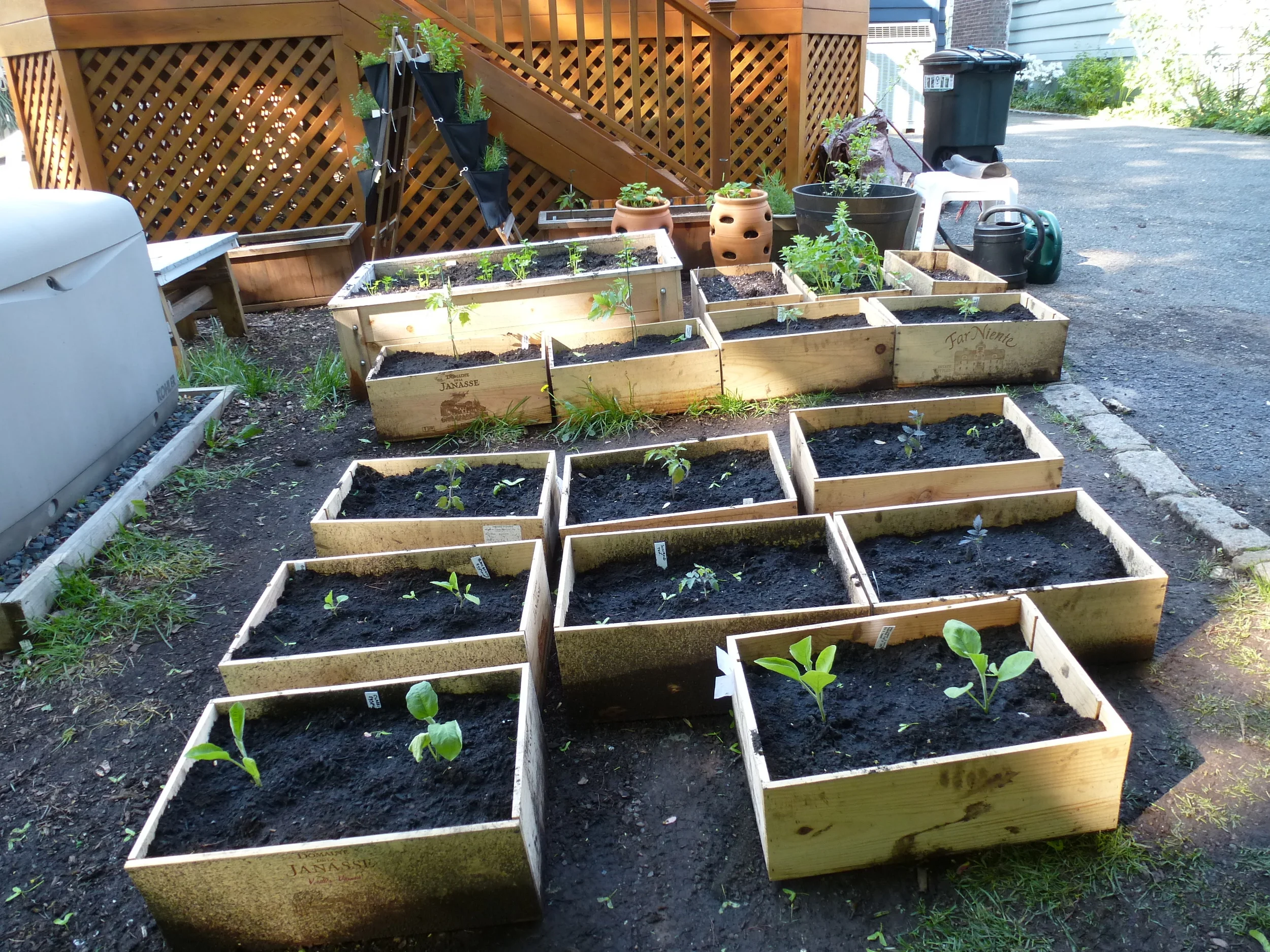 The Wine Box Garden Starts for 2016