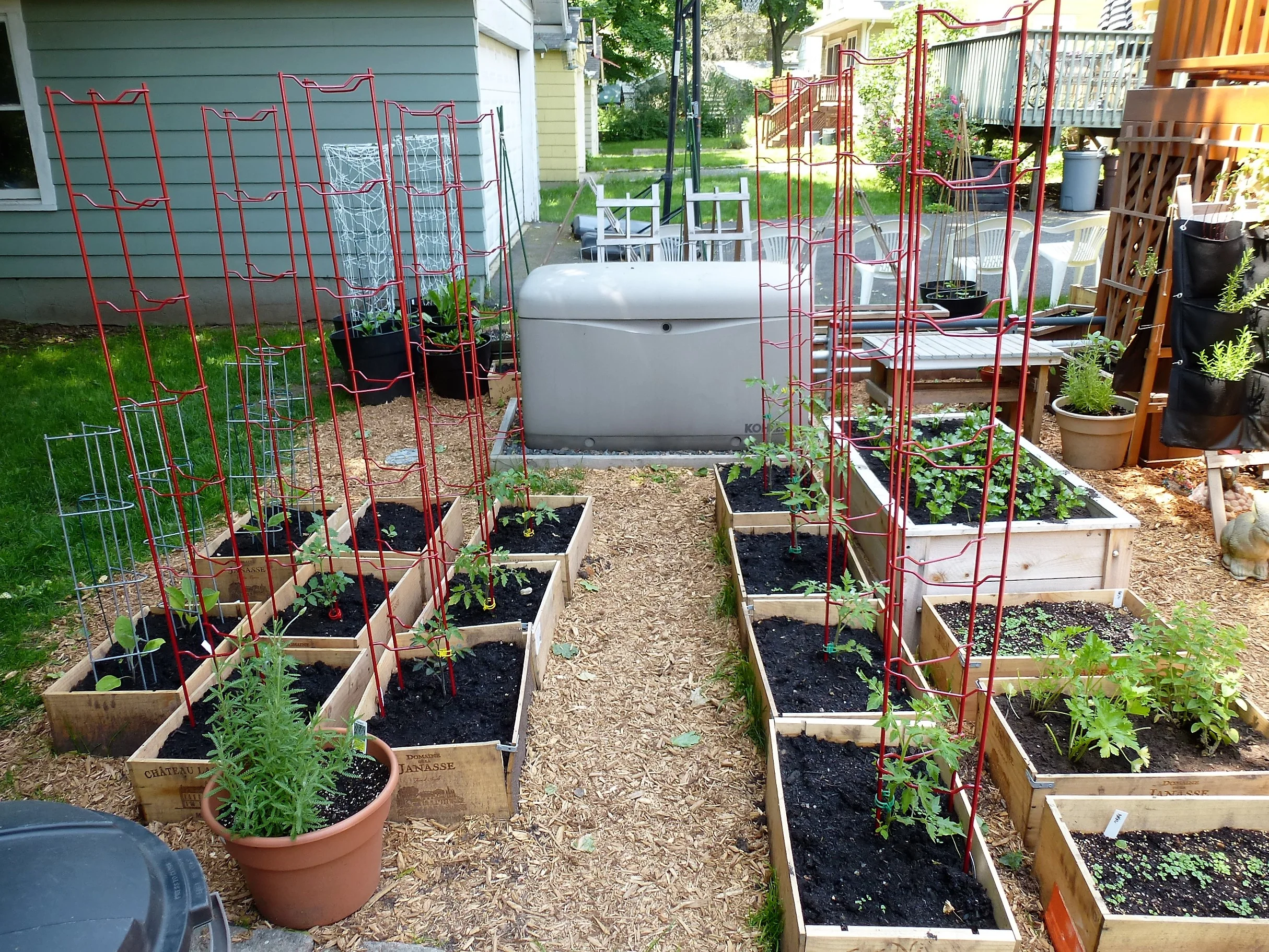 Vegetable Plant Supports