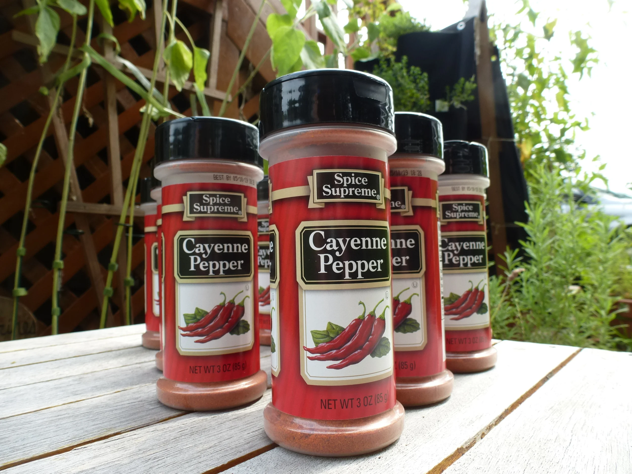 Battling Squirrels with Cayenne Pepper