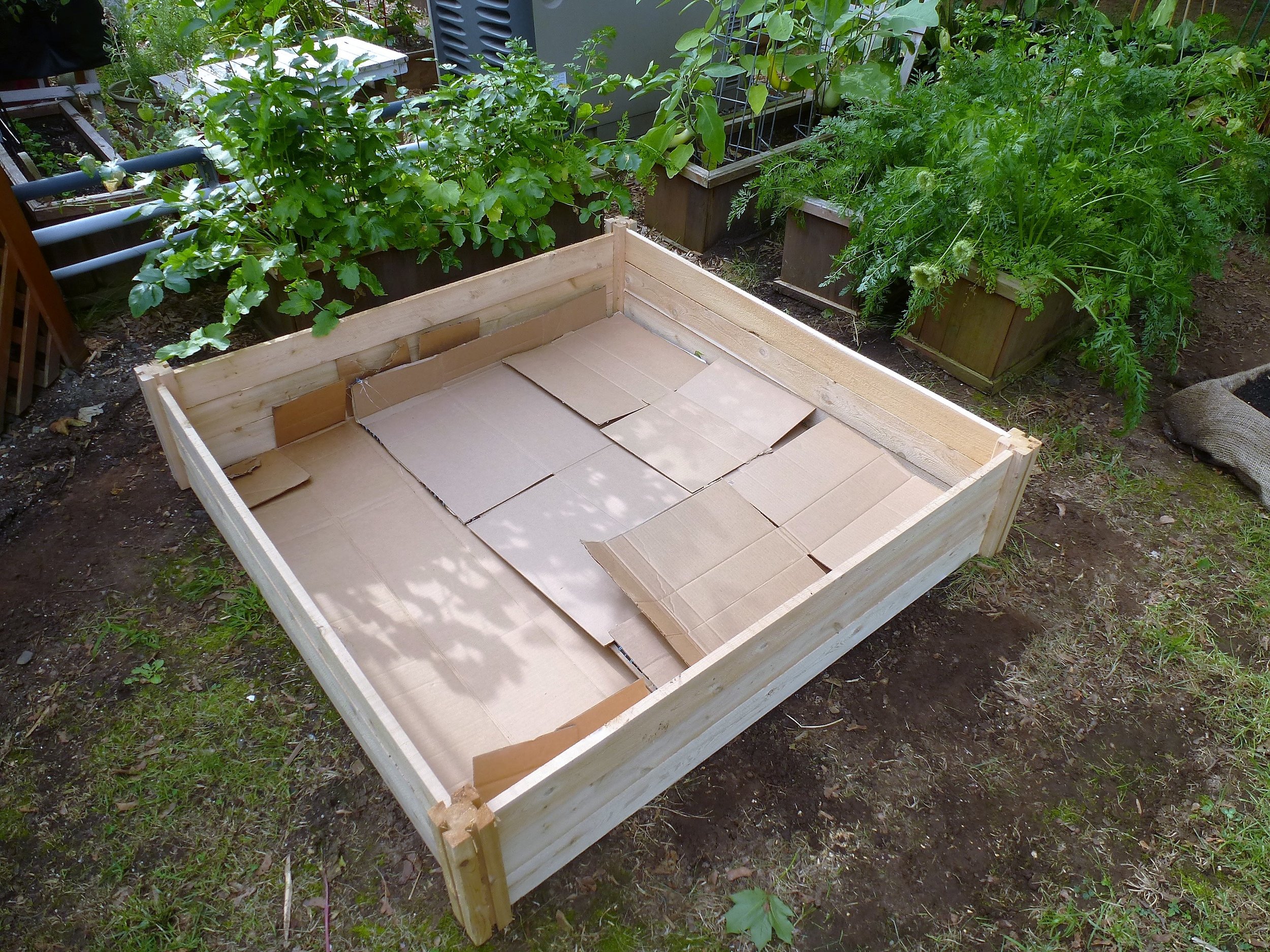 Step 3: Layer the bottom with cardboard to prevent grass/weeds from coming up through the bed.