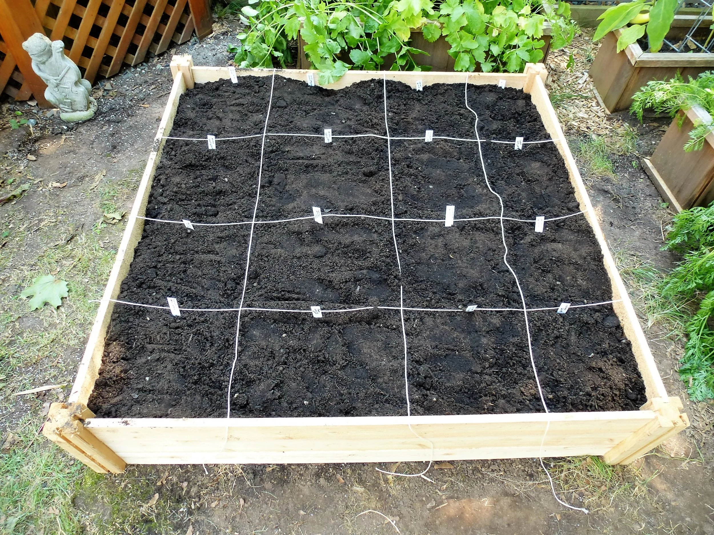 Step 5: Plan and plant. I use the Square Foot Gardening spacing, which tells me how many plants of each type will fit in a square foot space, but I don't follow the entire Square Foot Gardening method.