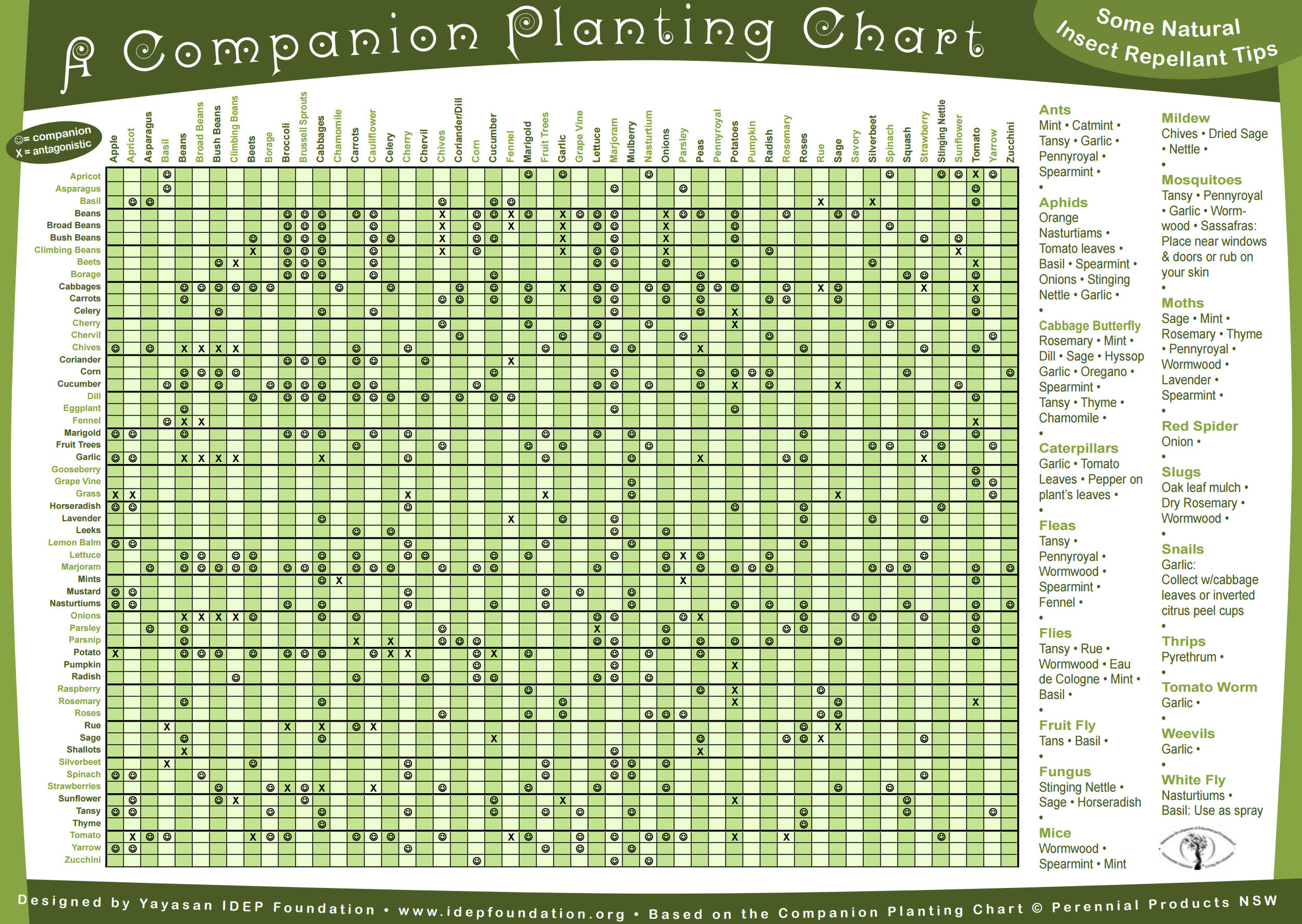 Image of Thyme Companion Planting PDF 5