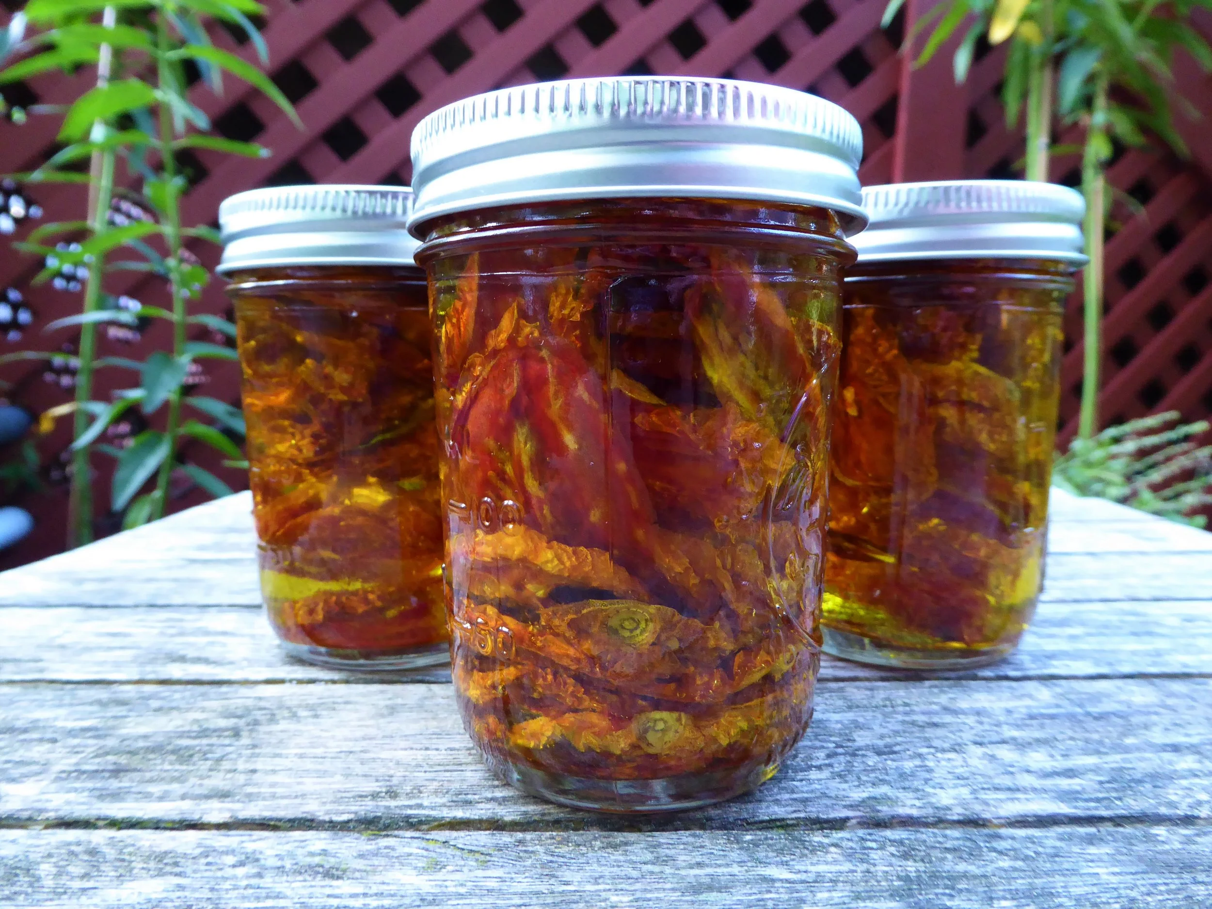 How to Make SunDried Tomatoes in Olive Oil — The Wine Box Gardener