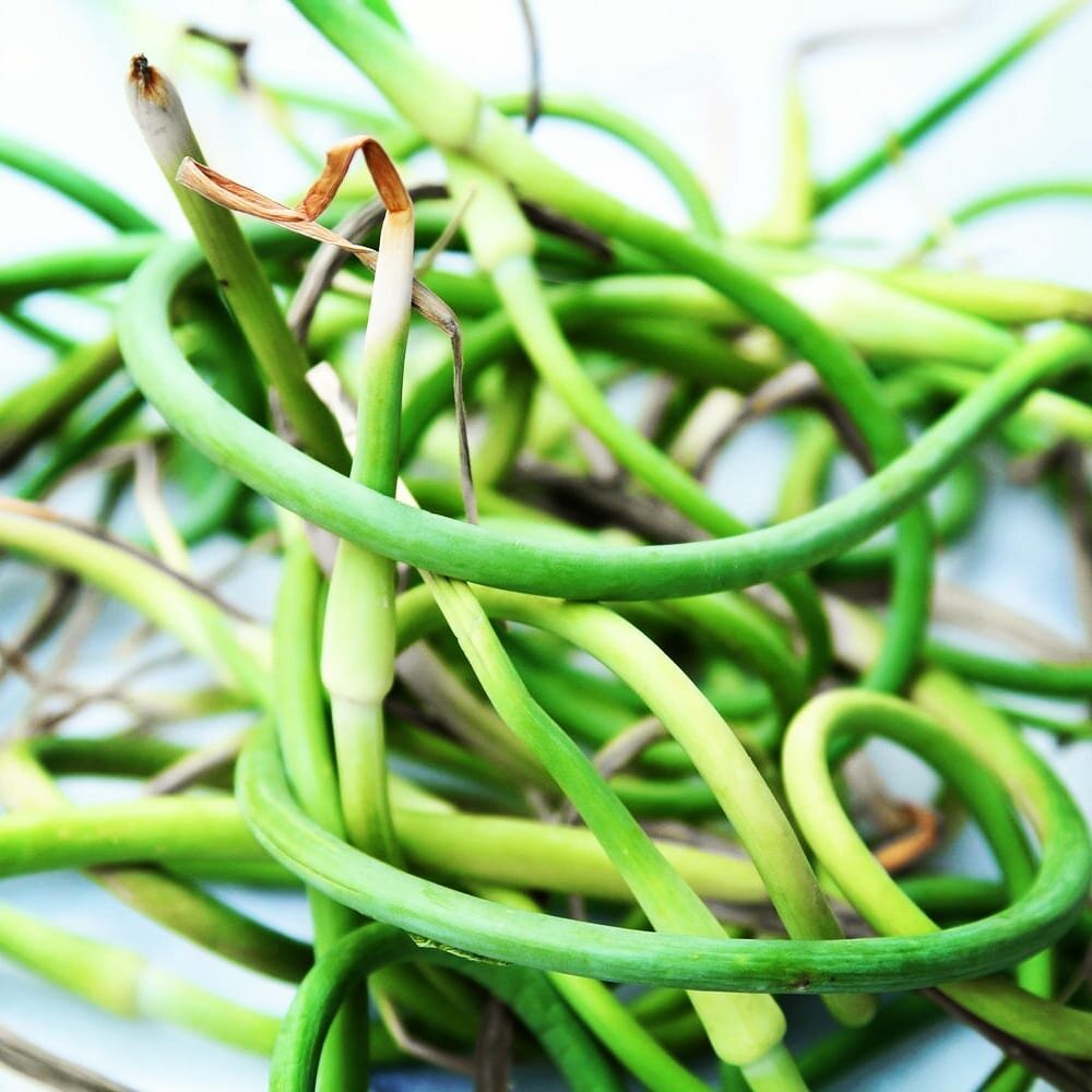 After posting a video of my garlic scape pesto in the making, I got a lot of questions and calls for the recipe. So... I  created a new post #ontheblog with a description of what scapes are, added a link to a previous garlic post that explains more, 